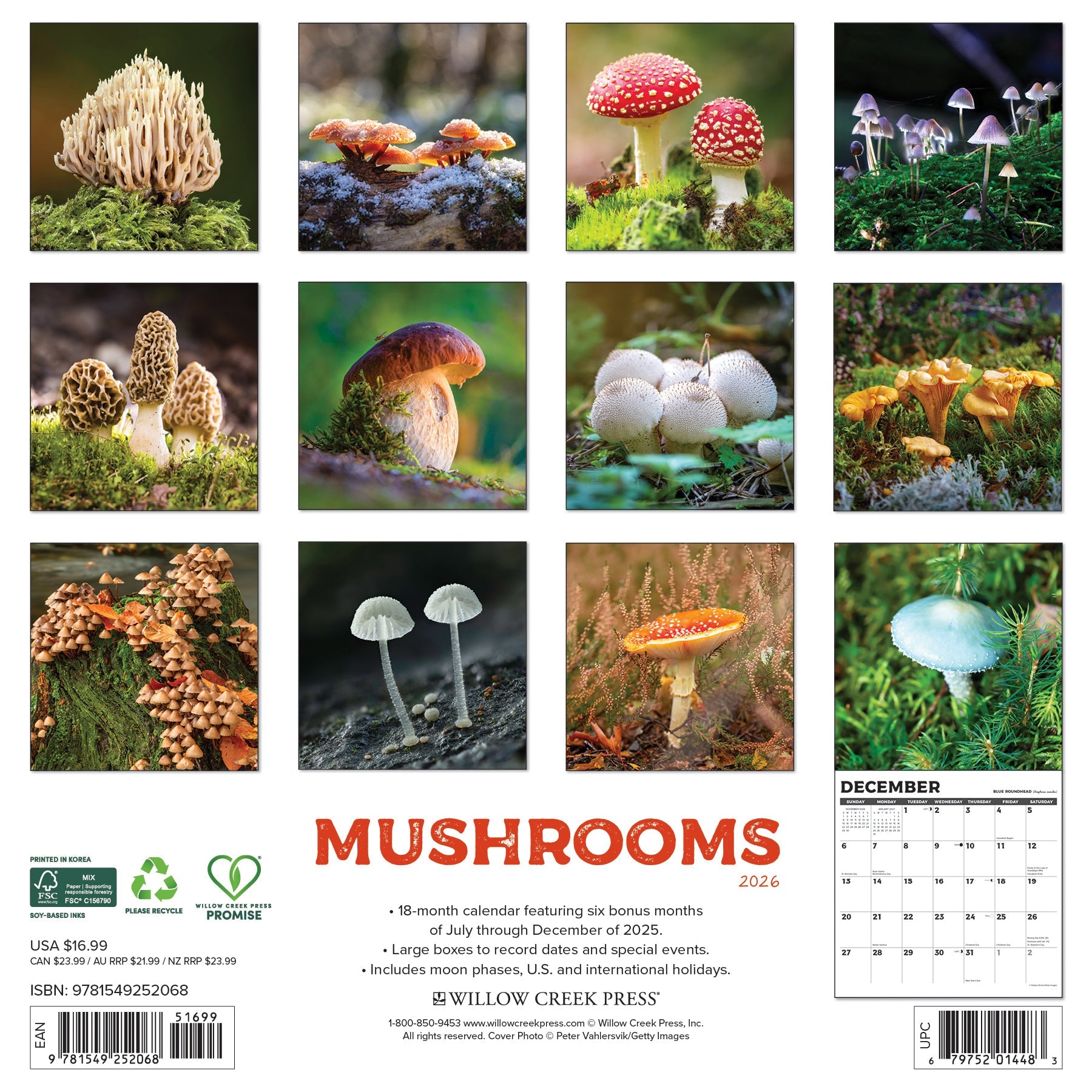 2026 Mushrooms - Square Wall Calendar