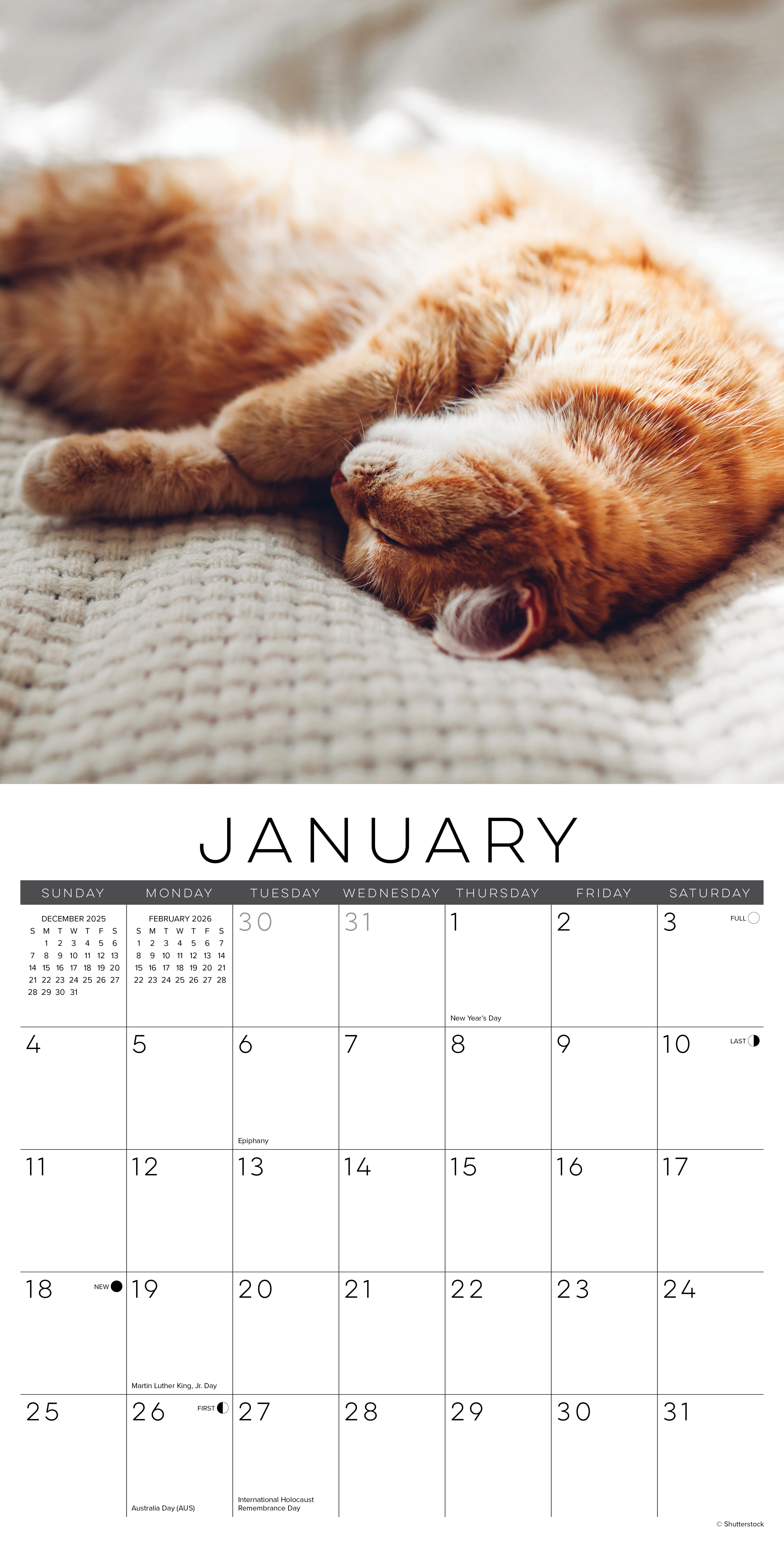 2026 Naptime: A Cat's Favorite Pastime - Square Wall Calendar
