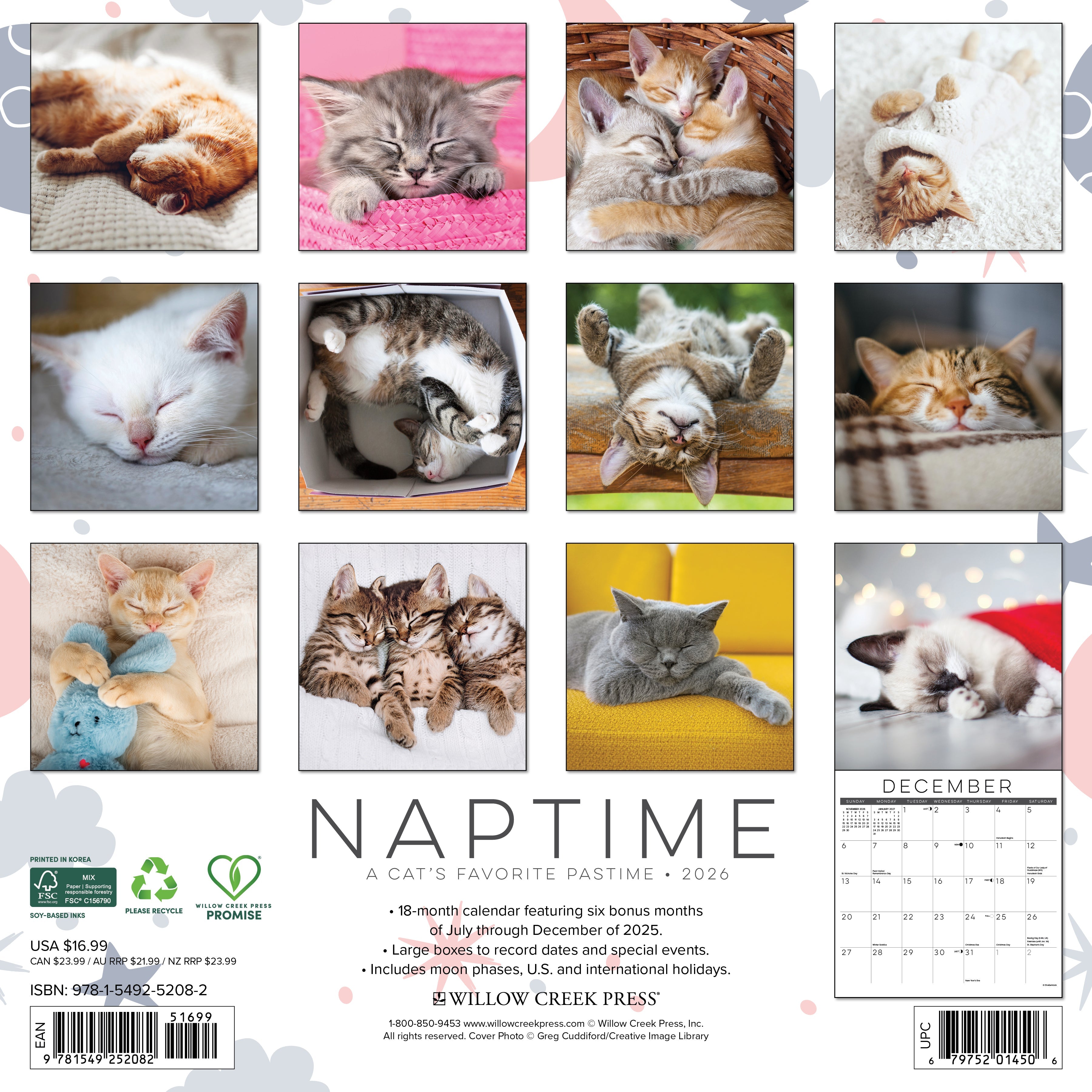 2026 Naptime: A Cat's Favorite Pastime - Square Wall Calendar
