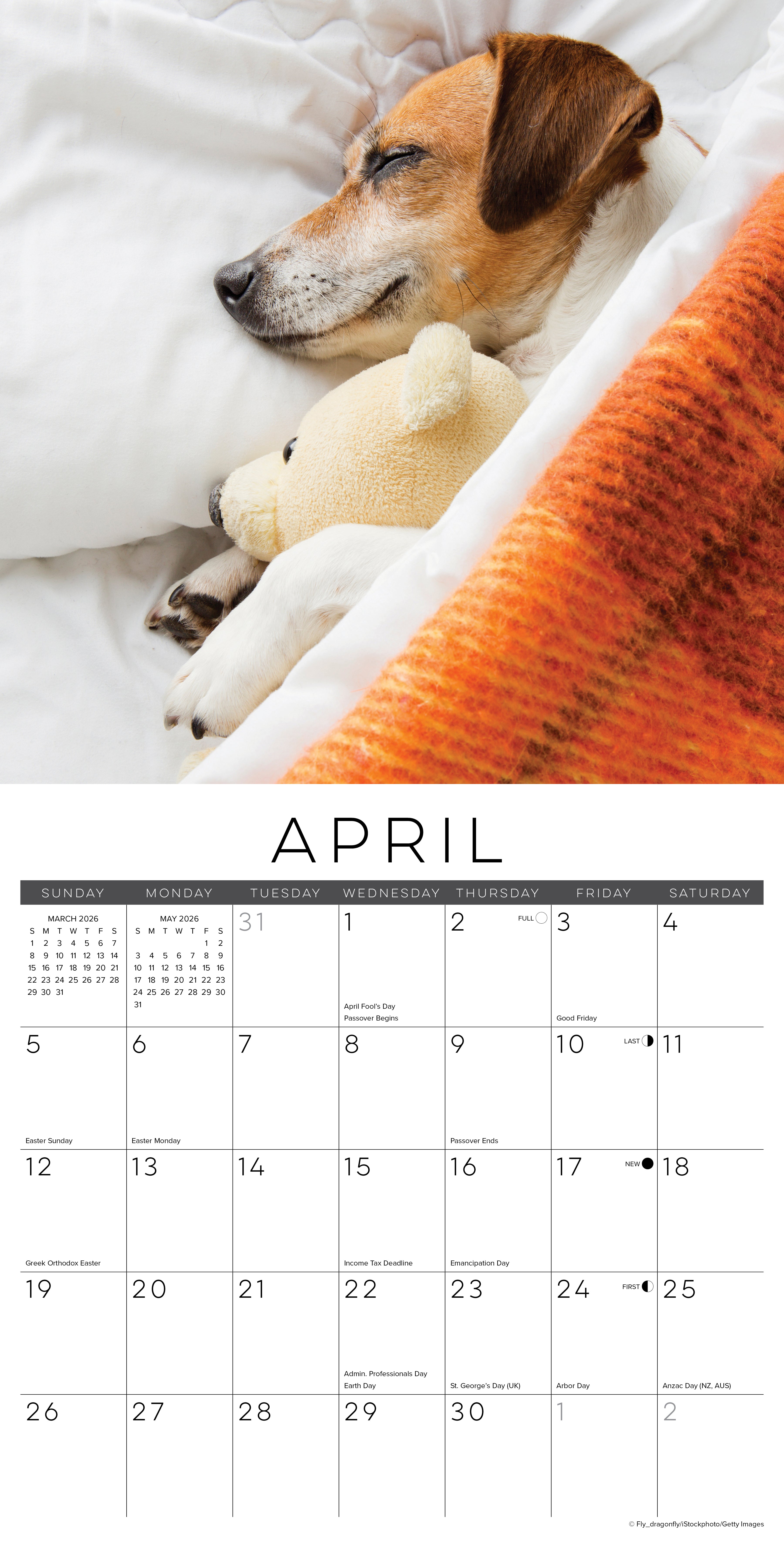 2026 Naptime: Dogs & Puppies on their Best Behavior - Square Wall Calendar