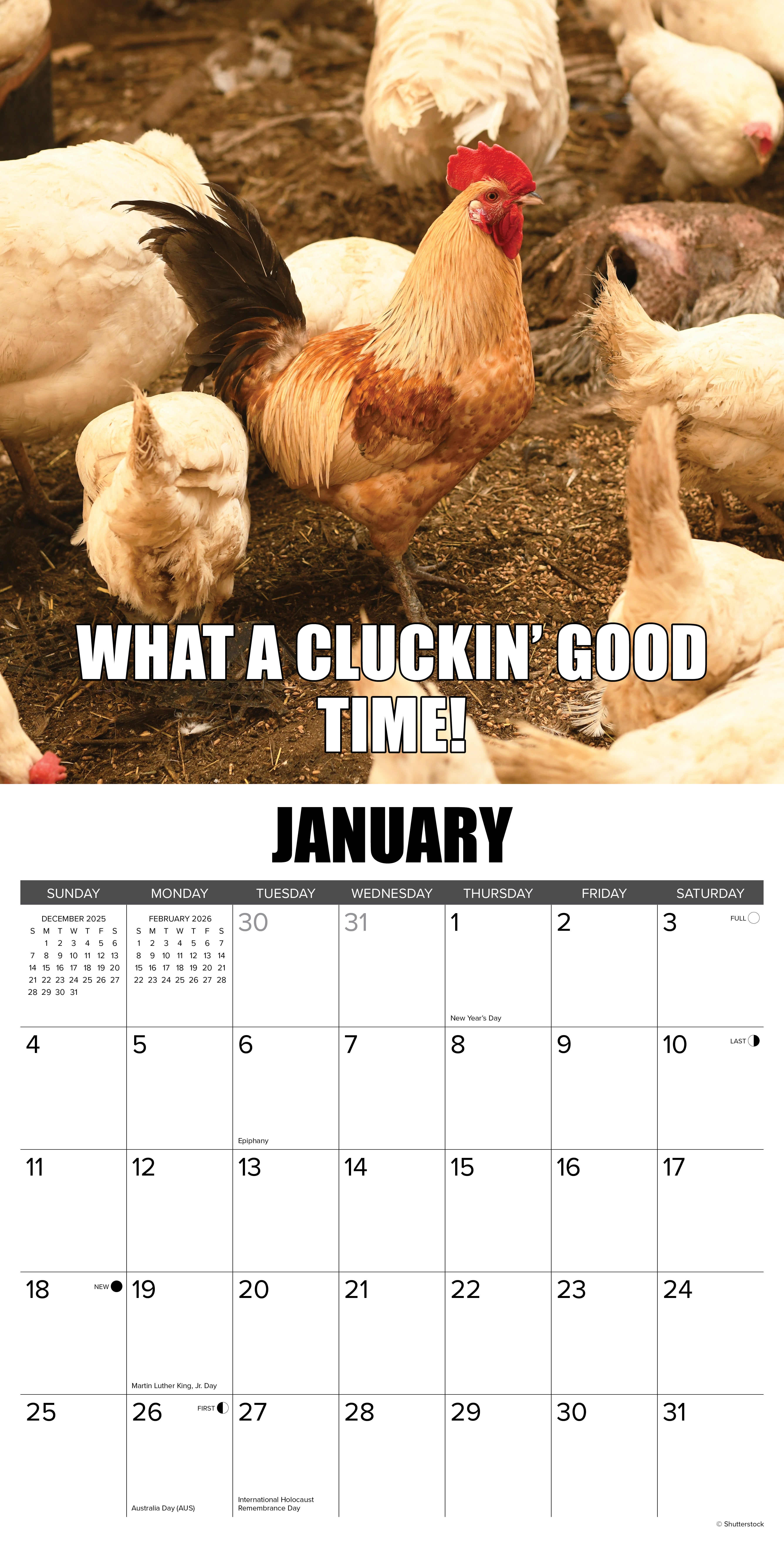 2026 No Clucks Given - Square Wall Calendar