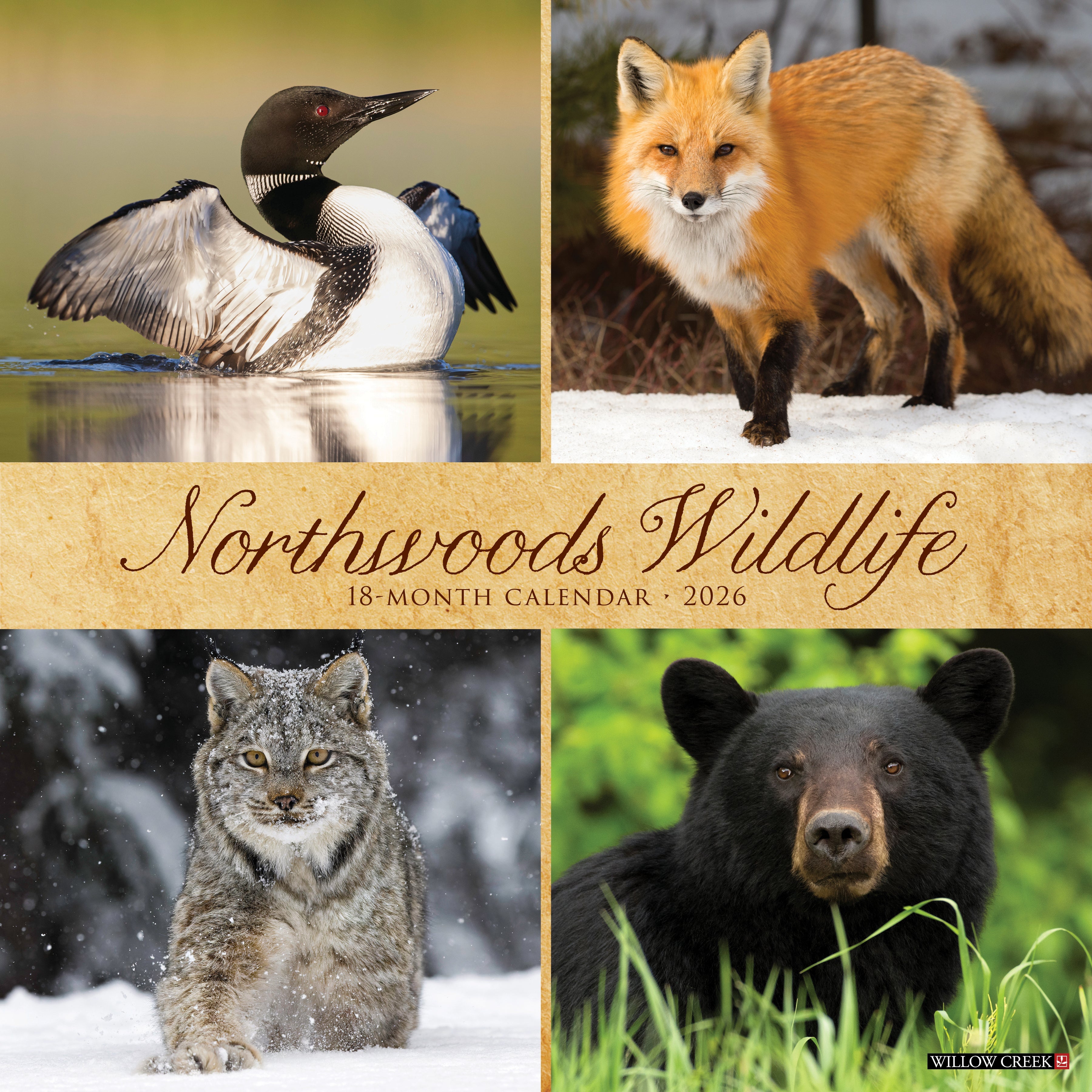 2026 Northwoods Wildlife - Square Wall Calendar