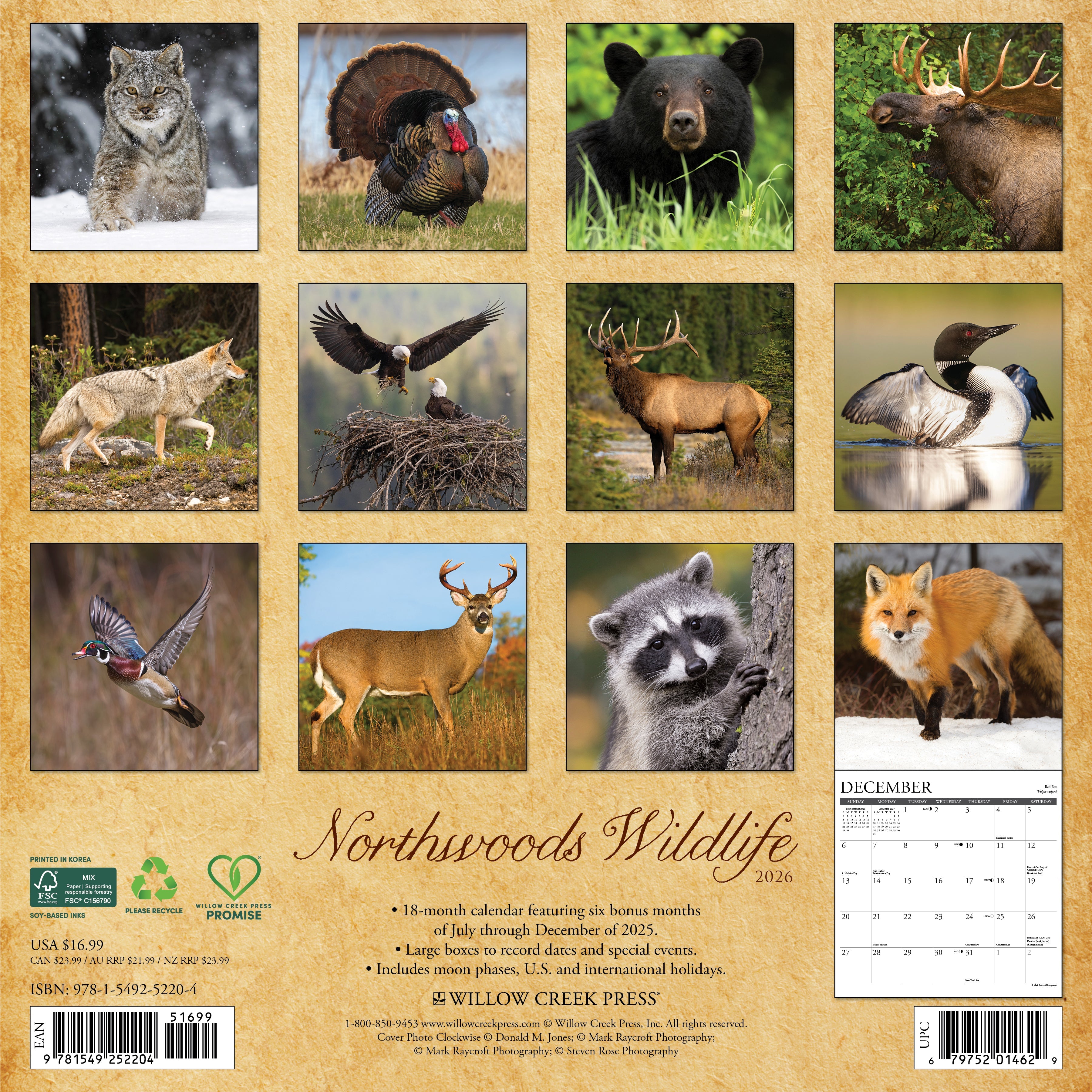 2026 Northwoods Wildlife - Square Wall Calendar
