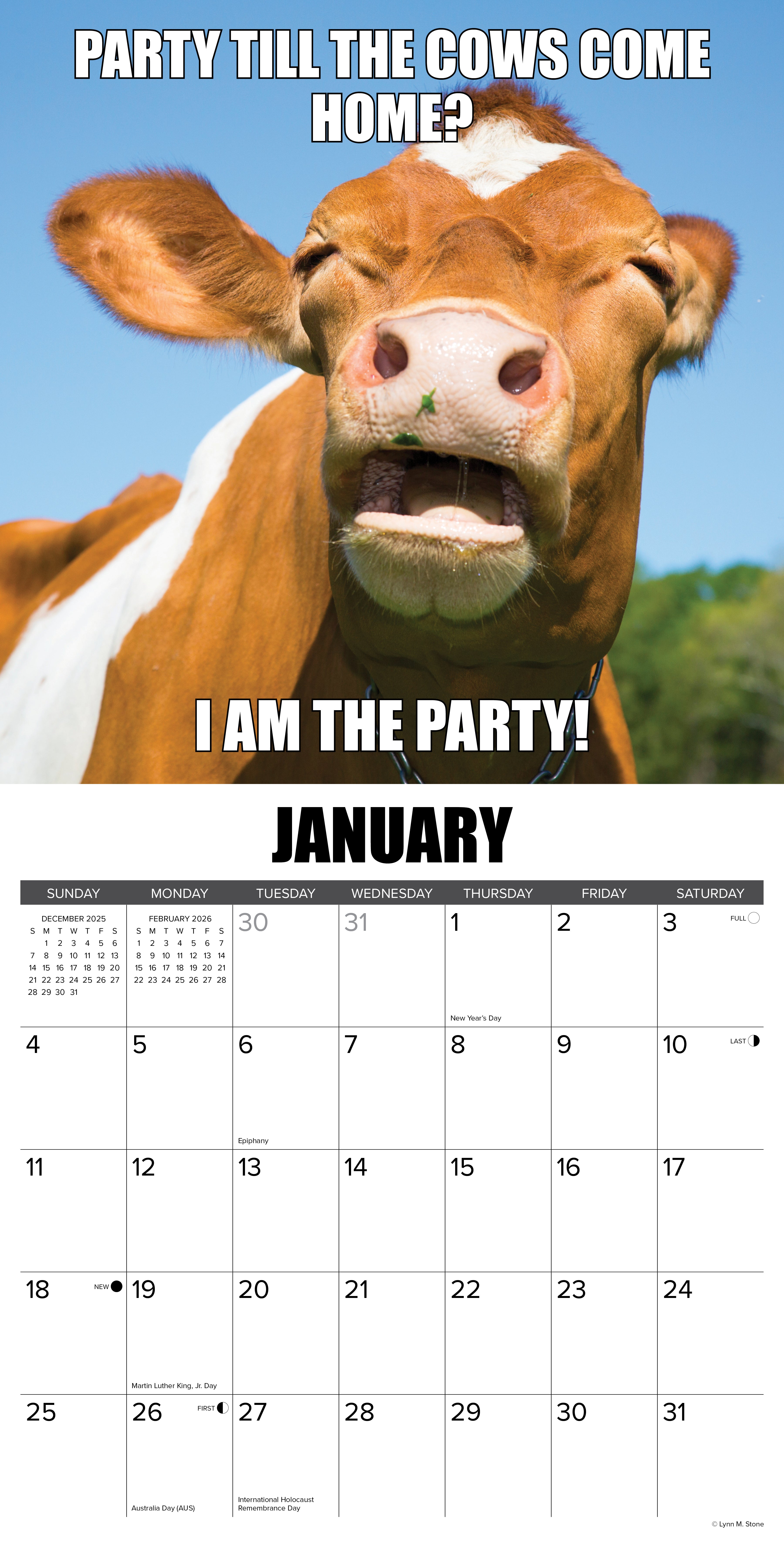 2026 Not in the Mooood - Square Wall Calendar