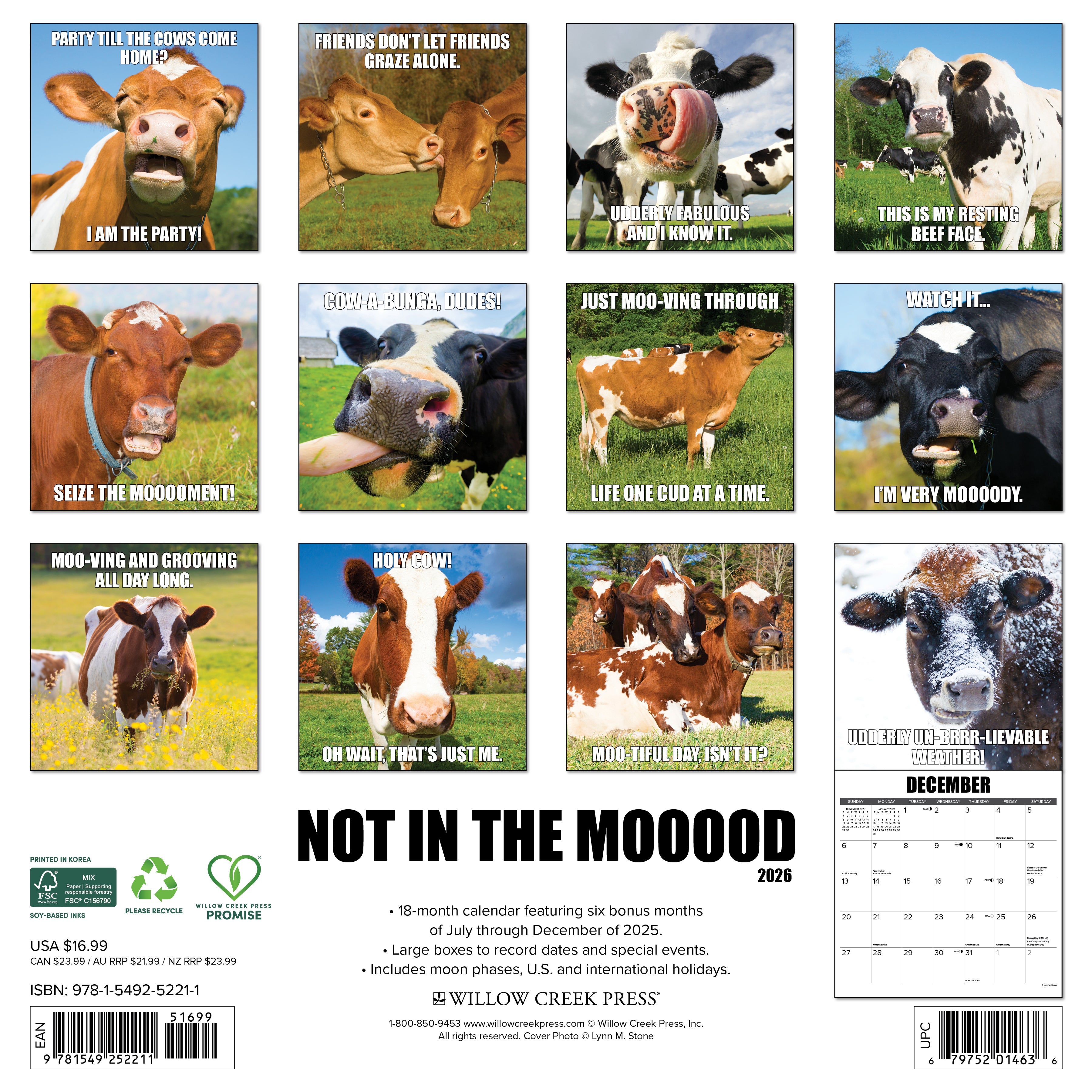 2026 Not in the Mooood - Square Wall Calendar