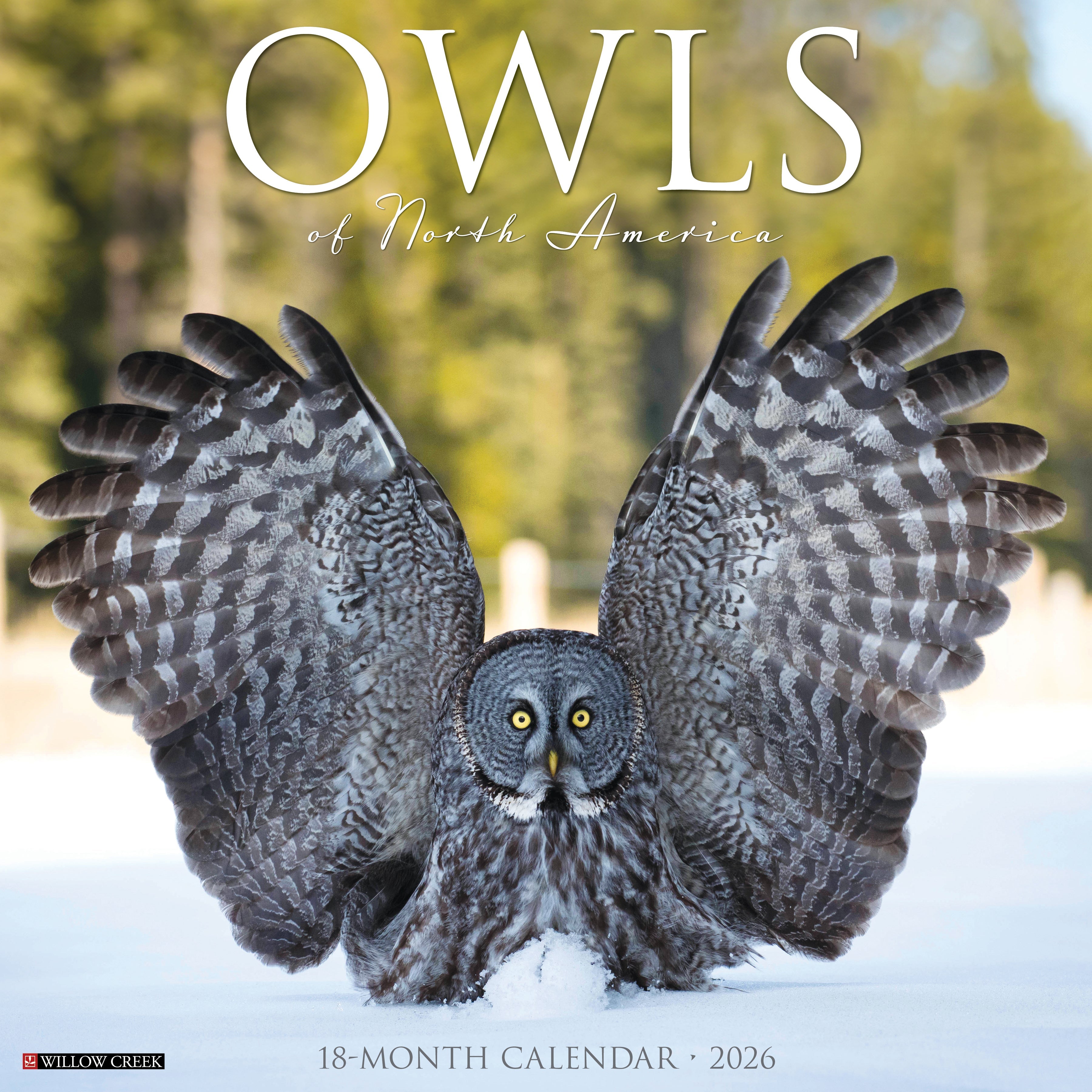 2026 Owls - Square Wall Calendar