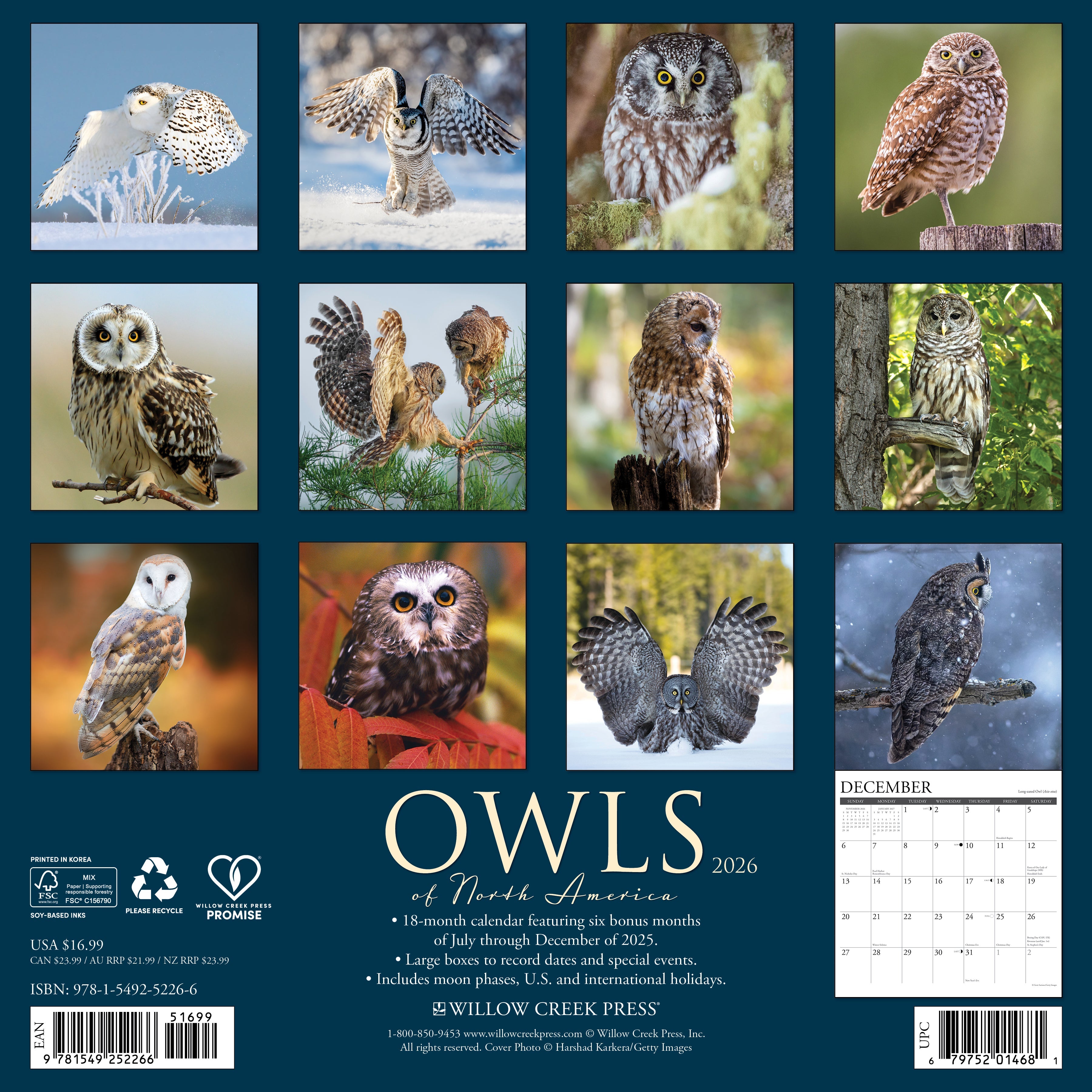 2026 Owls - Square Wall Calendar