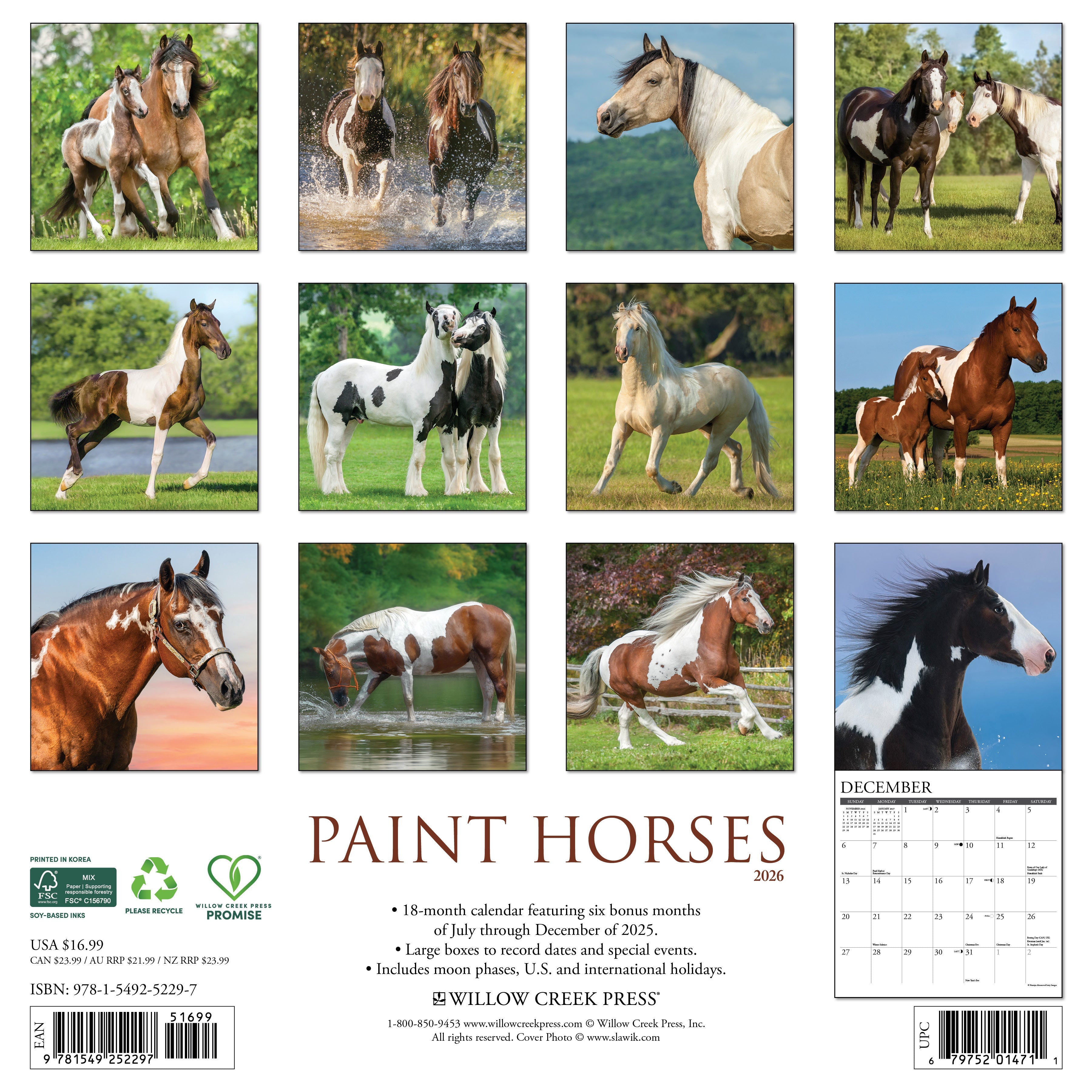 2026 Paint Horses - Square Wall Calendar