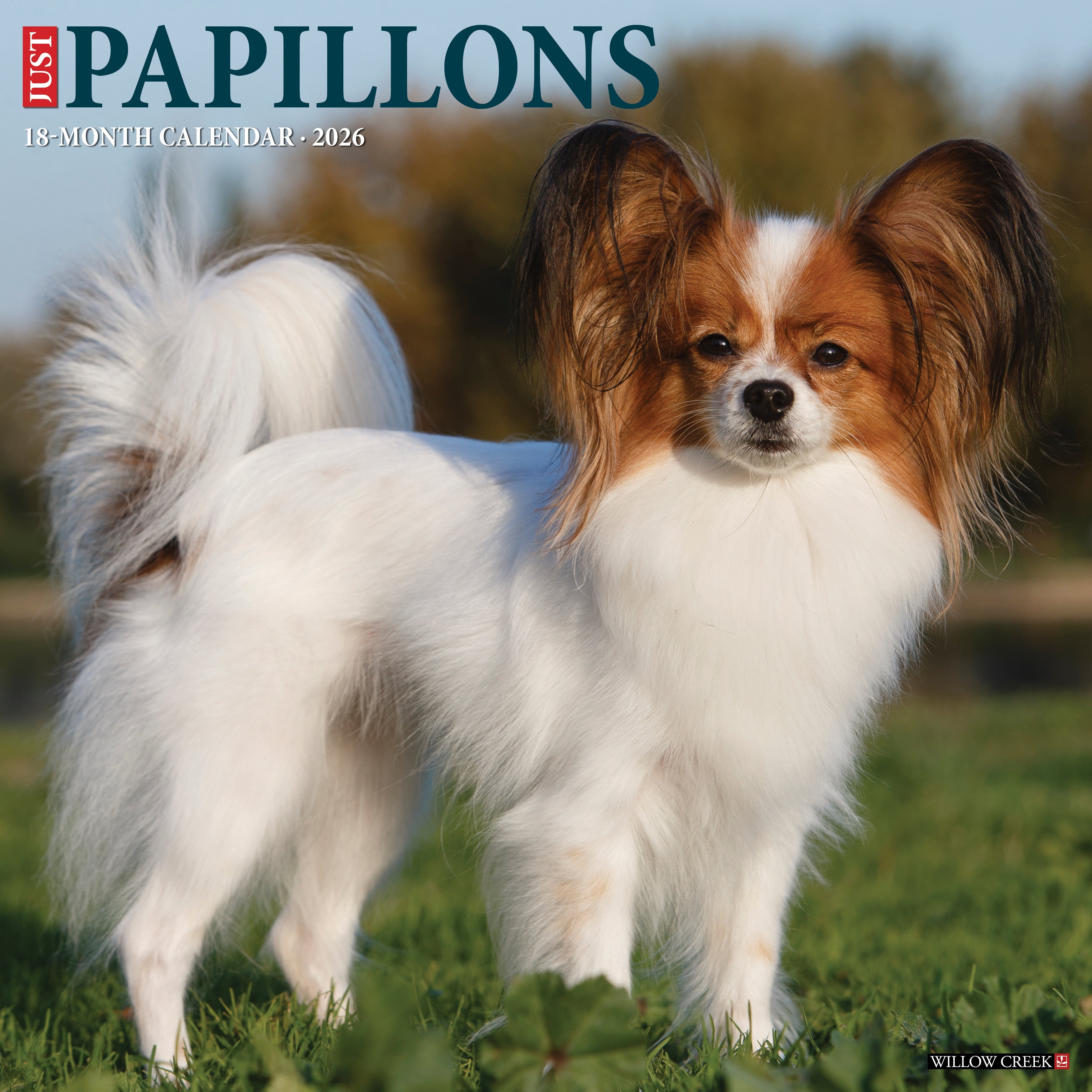 2026 Papillons - Square Wall Calendar