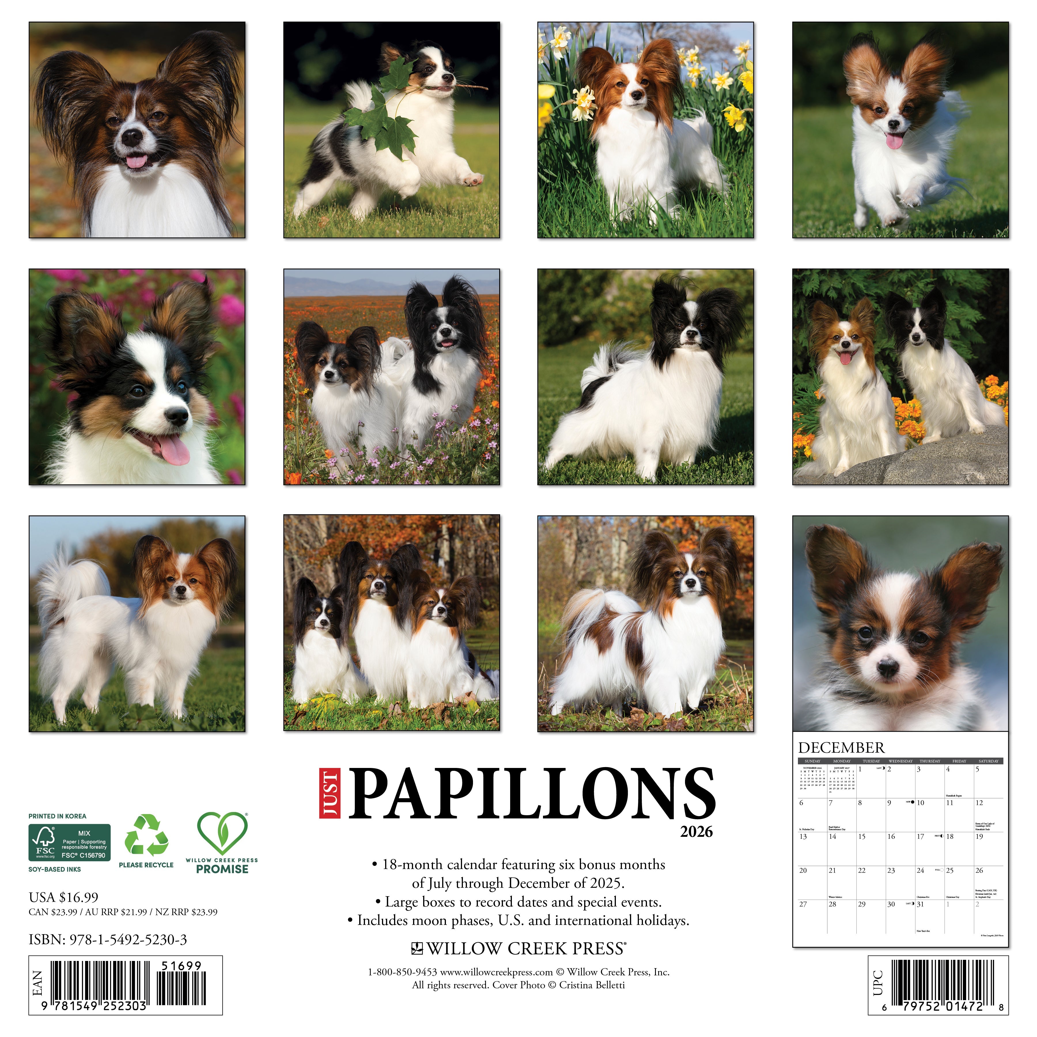 2026 Papillons - Square Wall Calendar