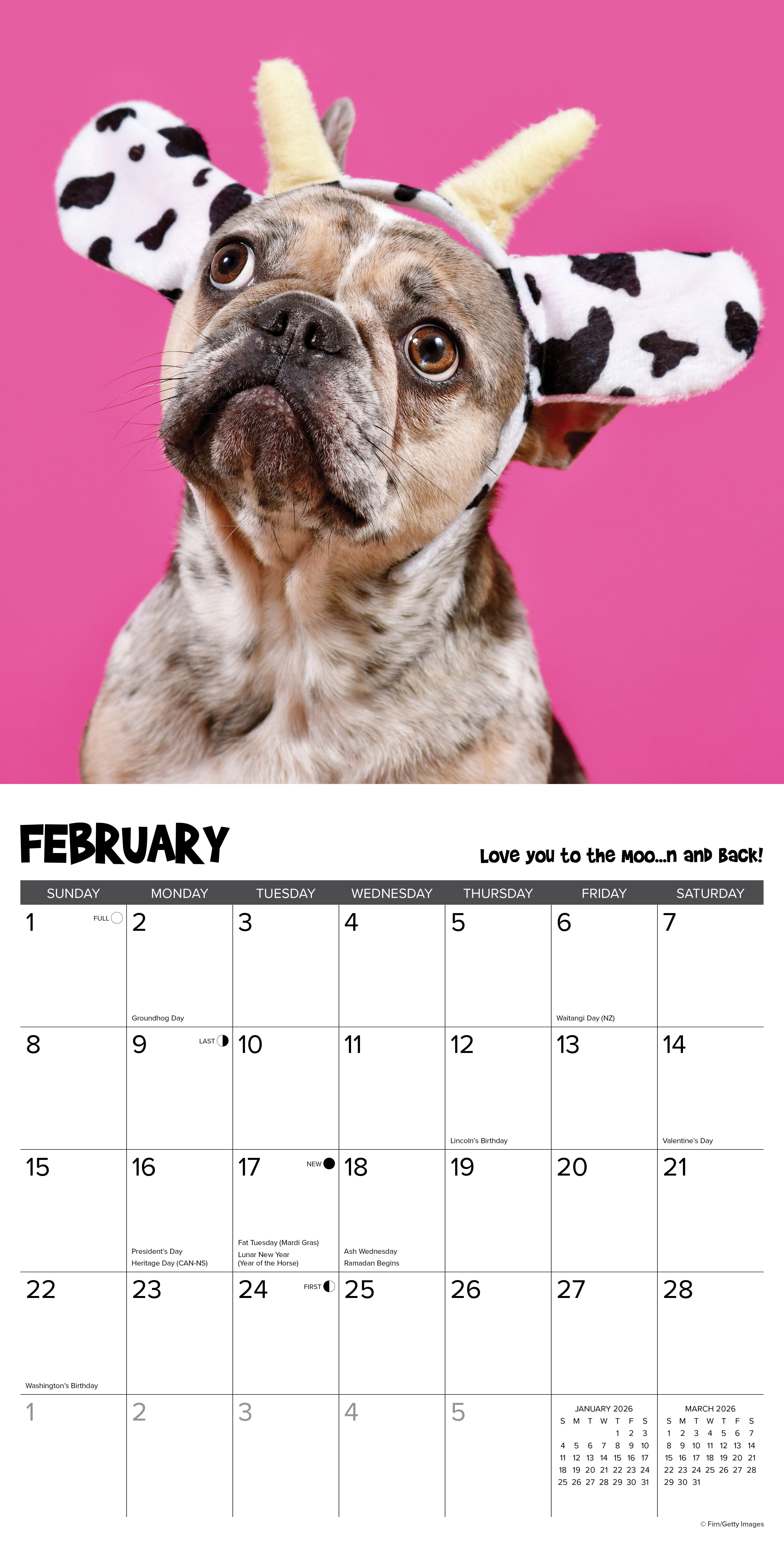 2026 Pardon My Frenchie - Square Wall Calendar