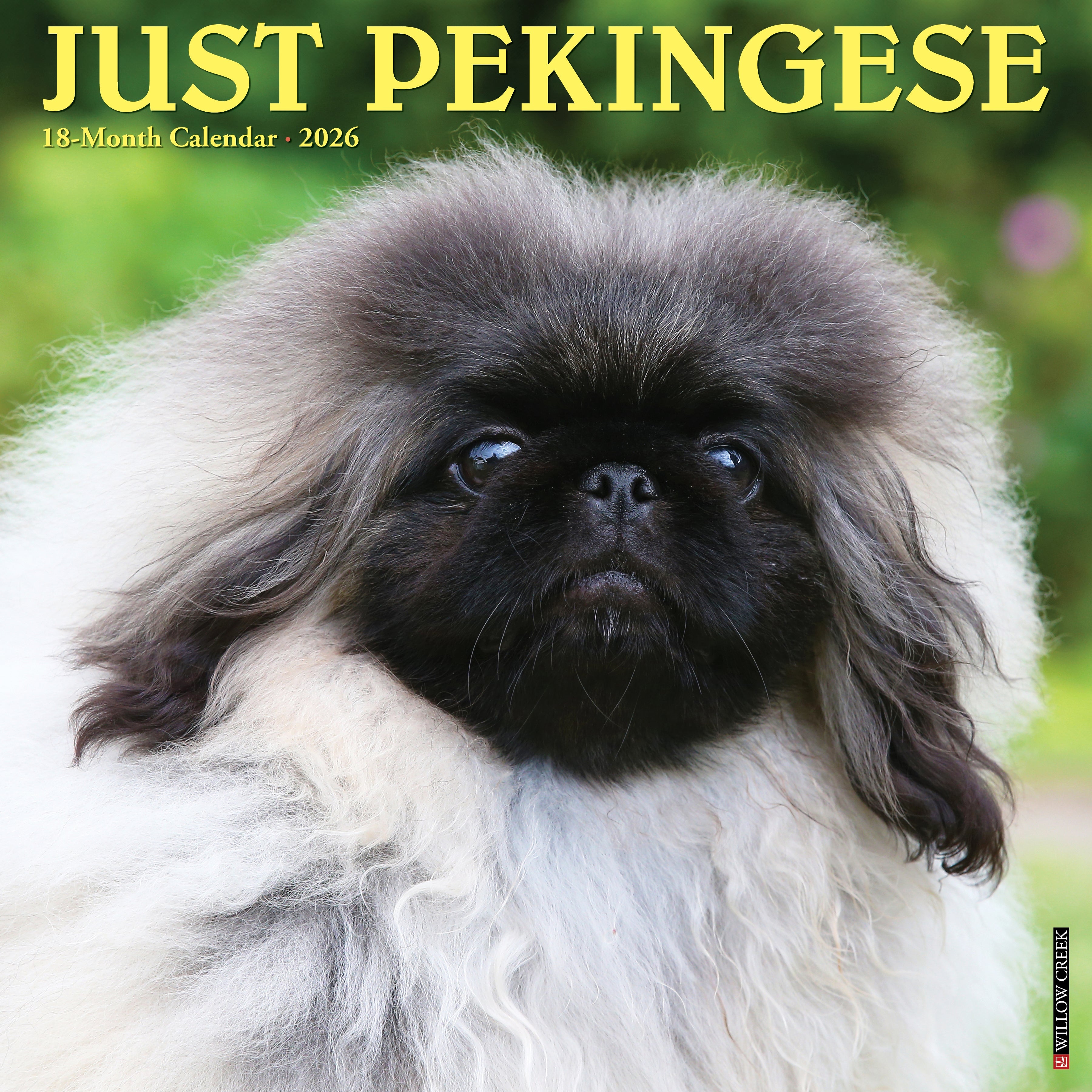 2026 Pekingese - Square Wall Calendar