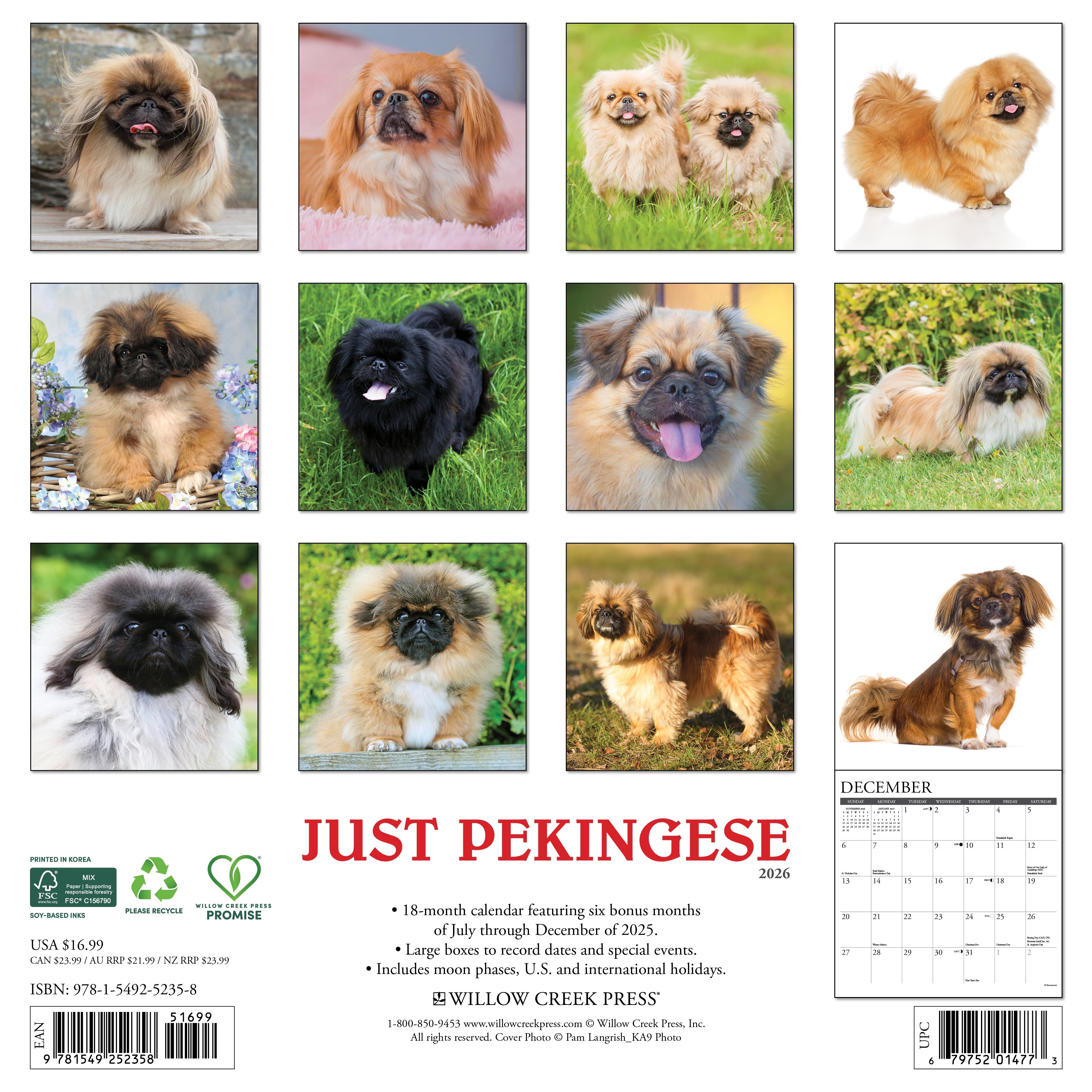 2026 Pekingese - Square Wall Calendar