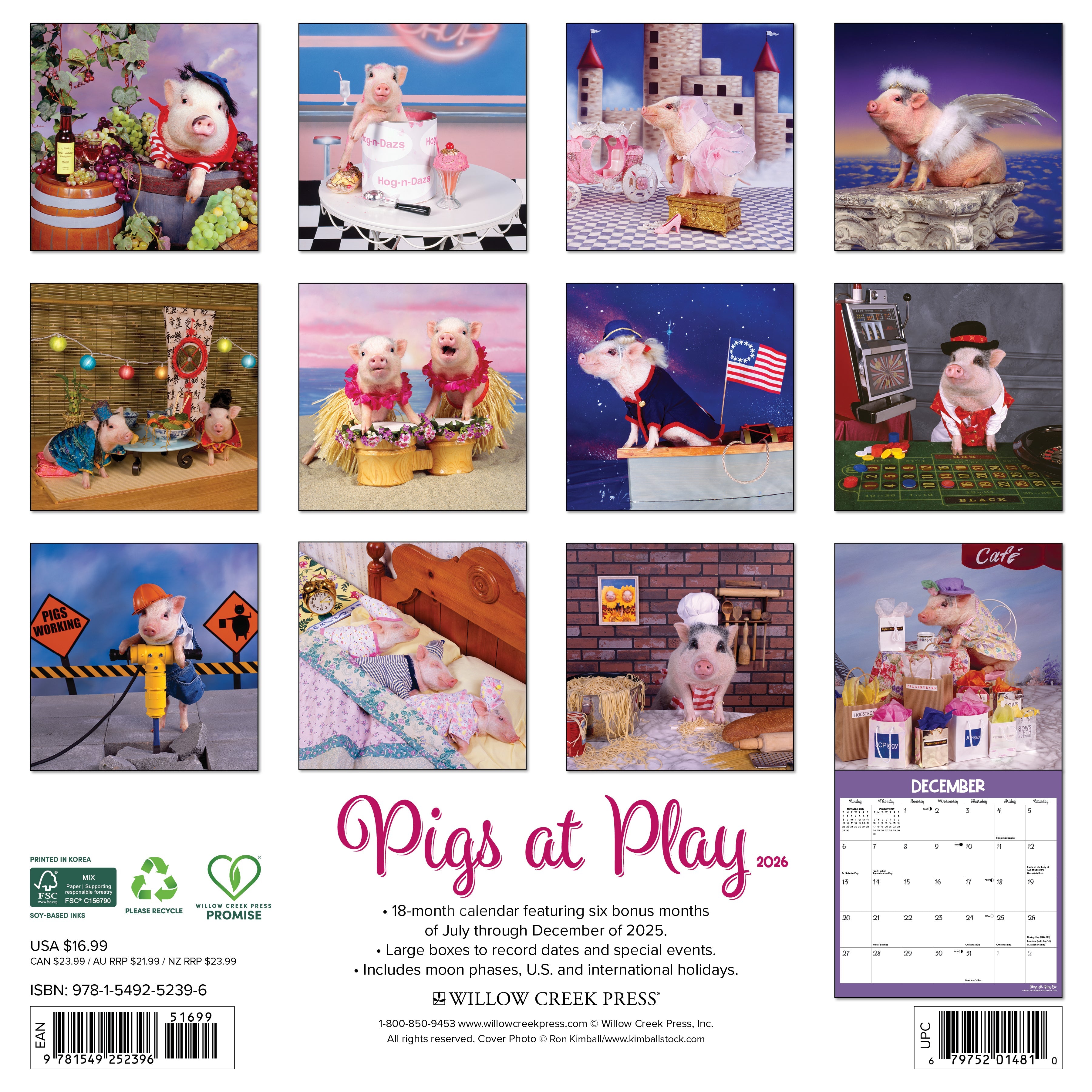 2026 Pigs at Play - Square Wall Calendar