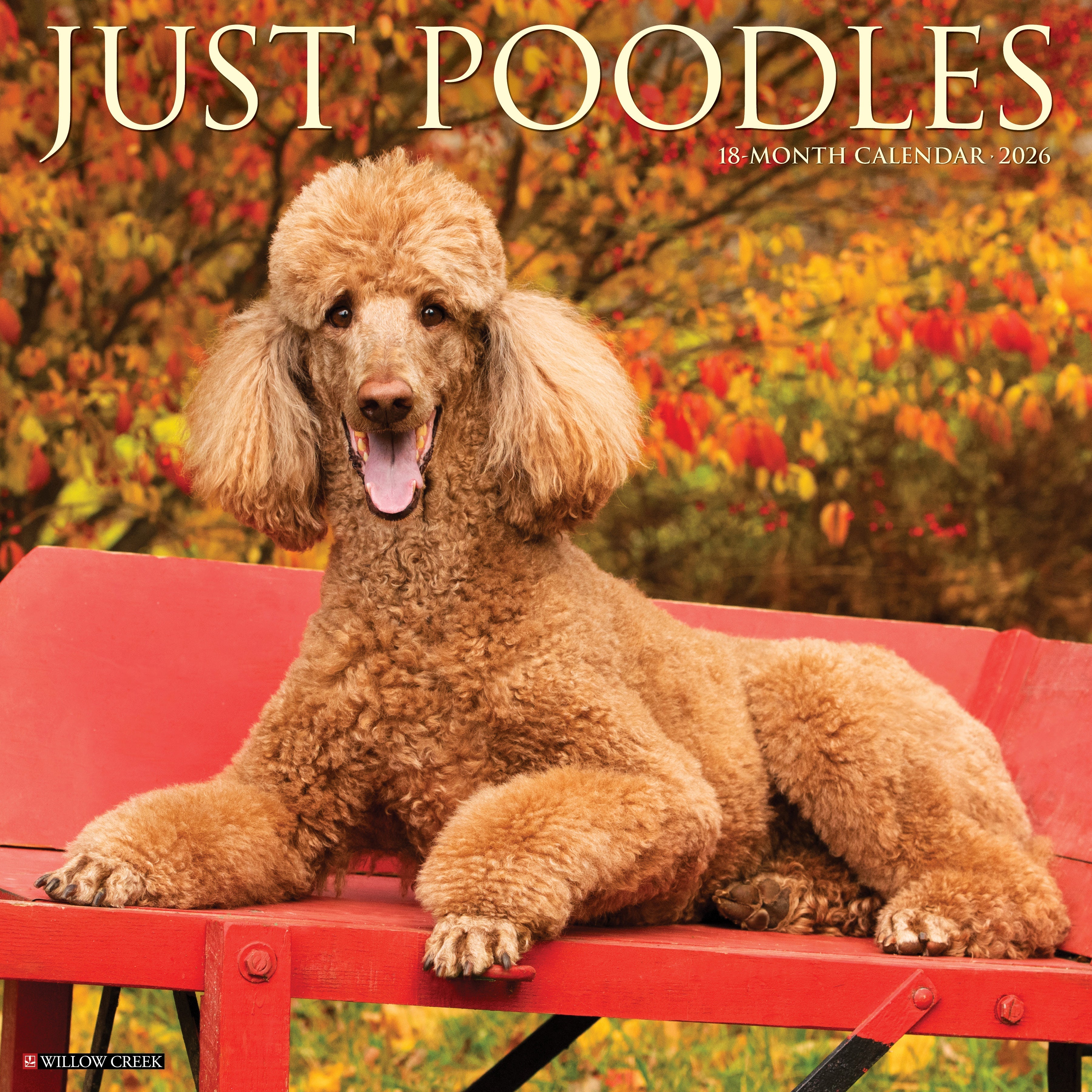 2026 Poodles - Square Wall Calendar