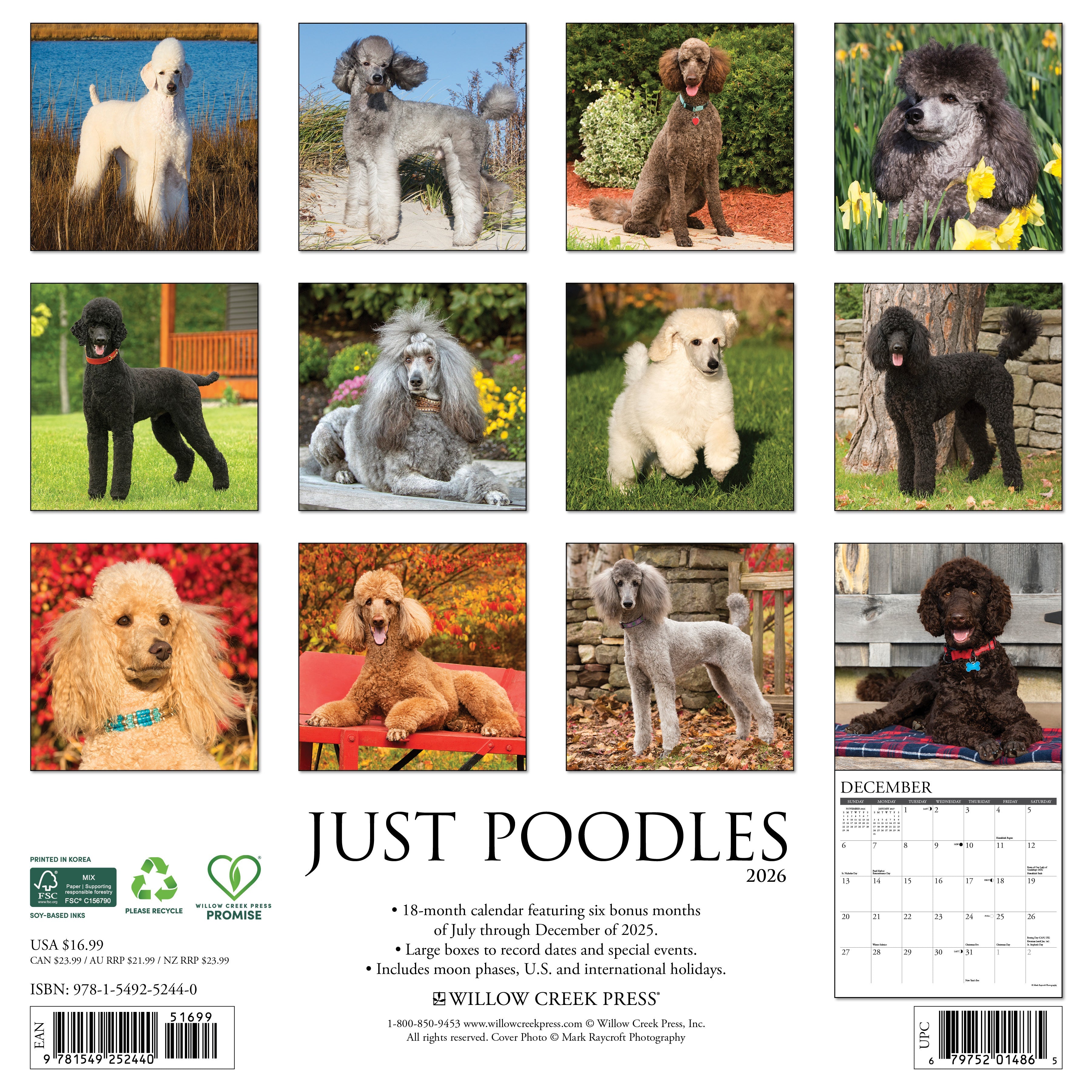 2026 Poodles - Square Wall Calendar