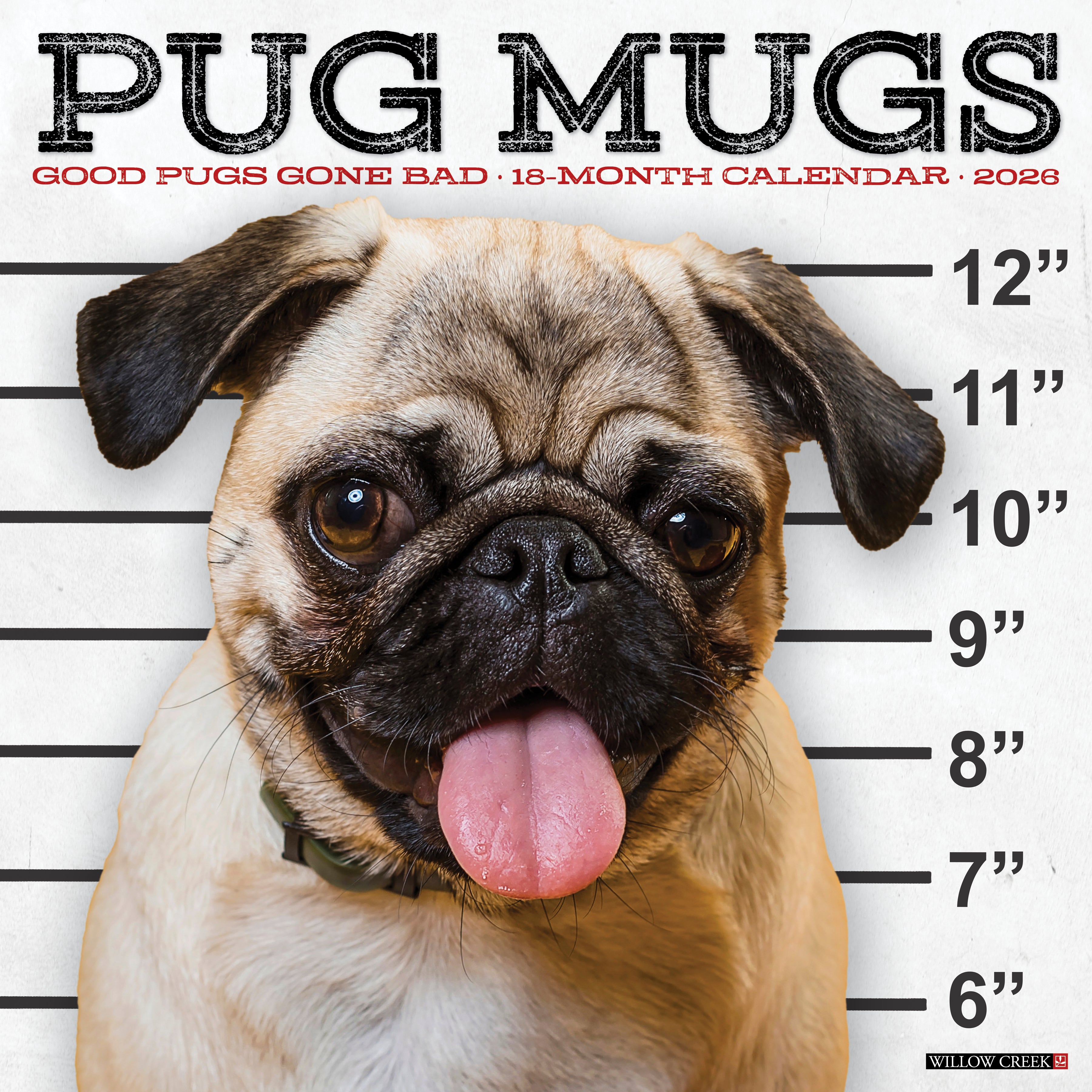 2026 Pug Mugs - Square Wall Calendar
