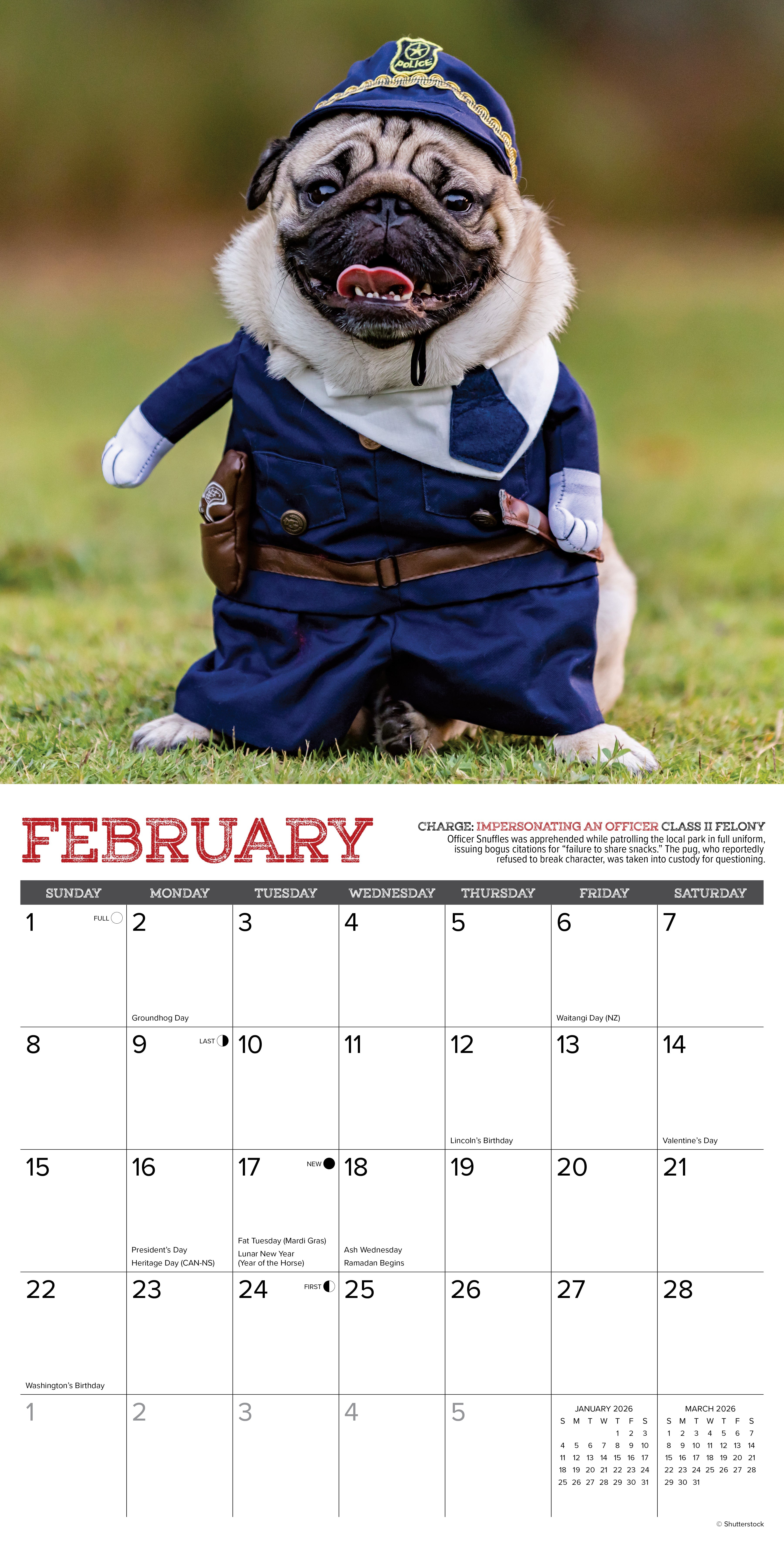 2026 Pug Mugs - Square Wall Calendar