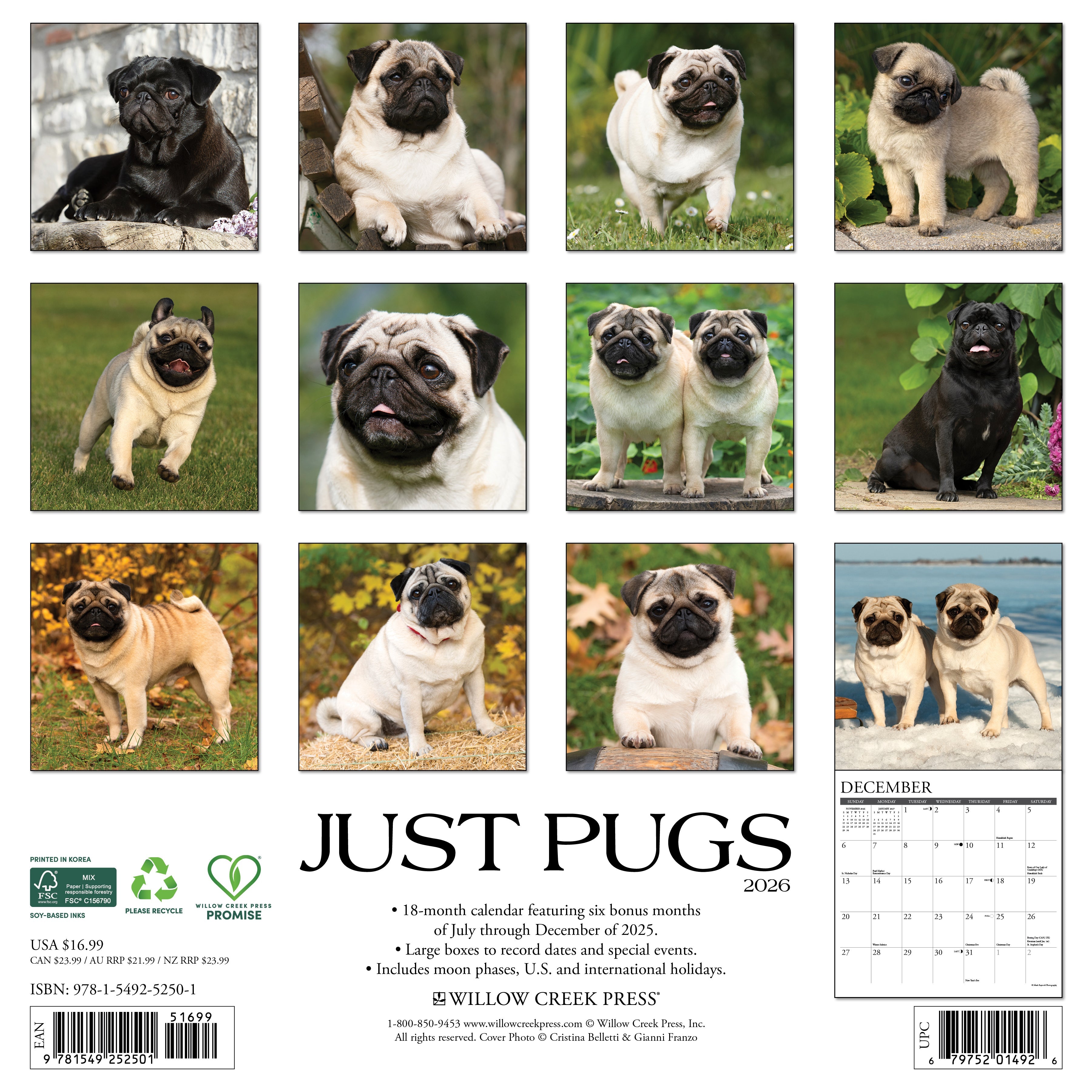 2026 Pugs - Square Wall Calendar