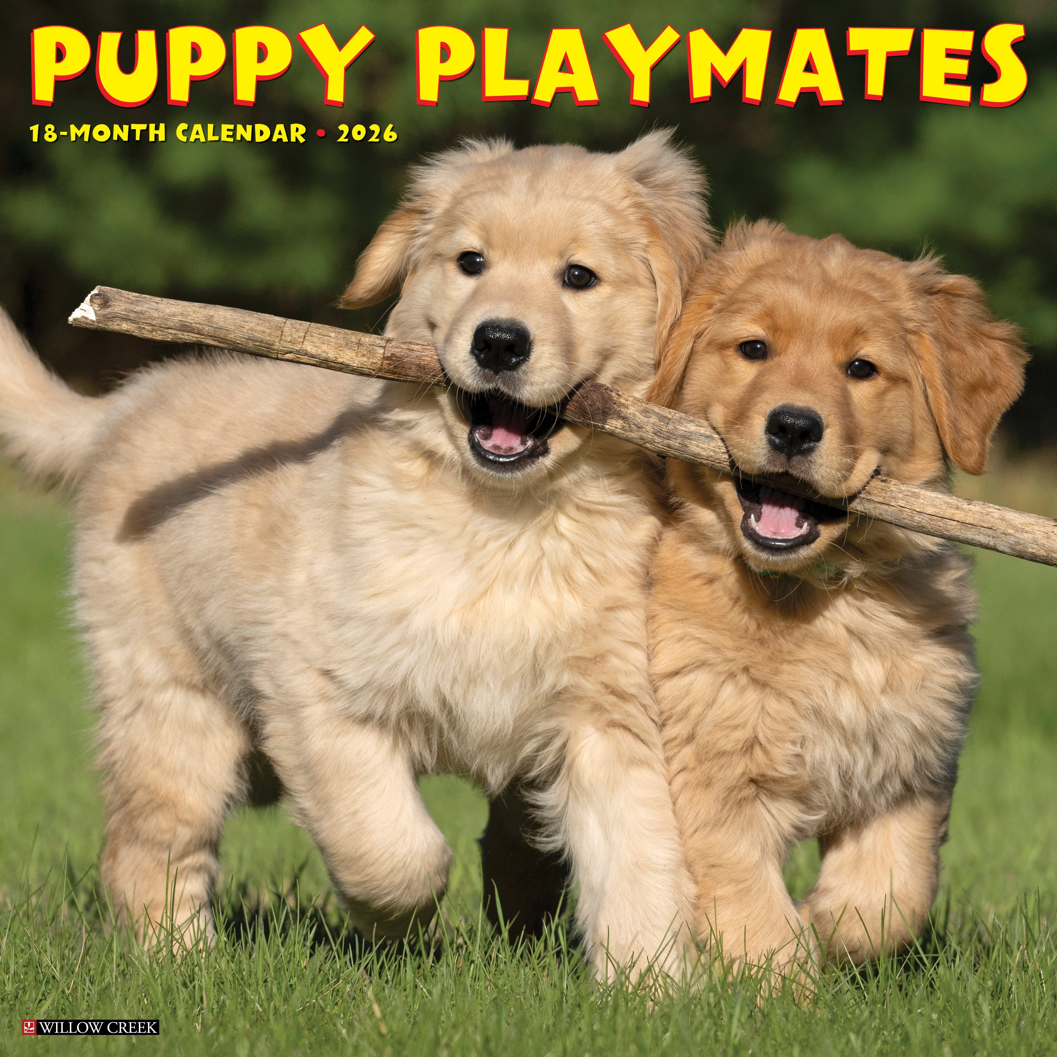 2026 Puppy Playmates - Square Wall Calendar
