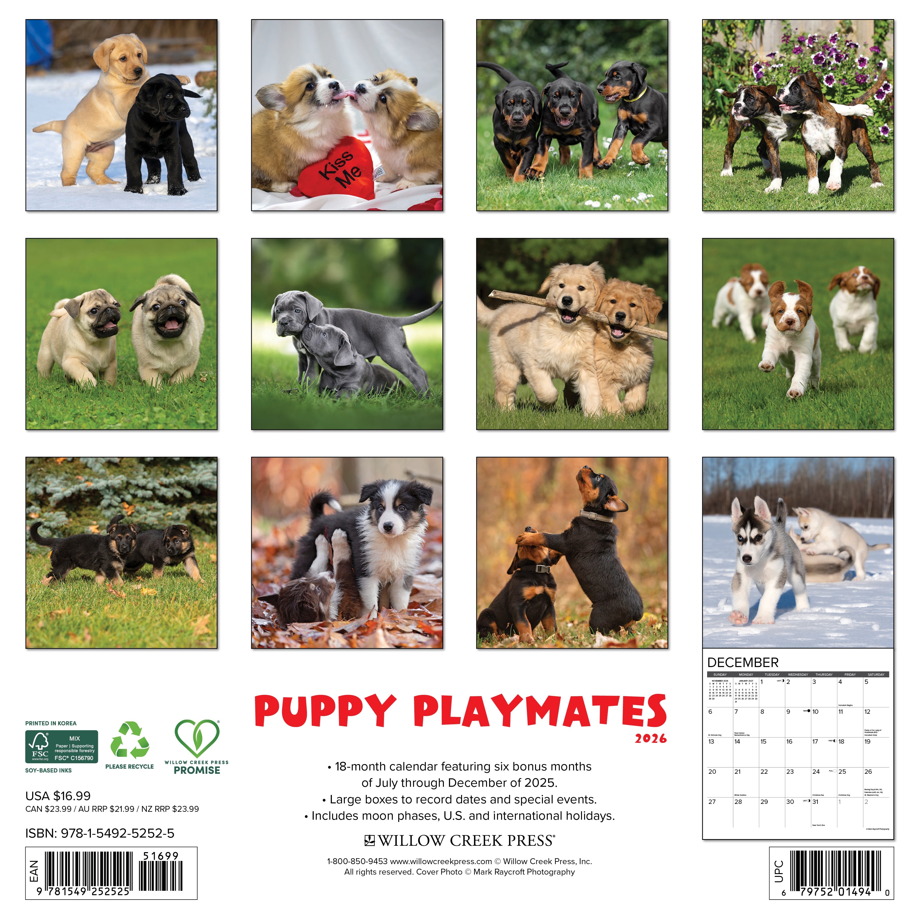 2026 Puppy Playmates - Square Wall Calendar