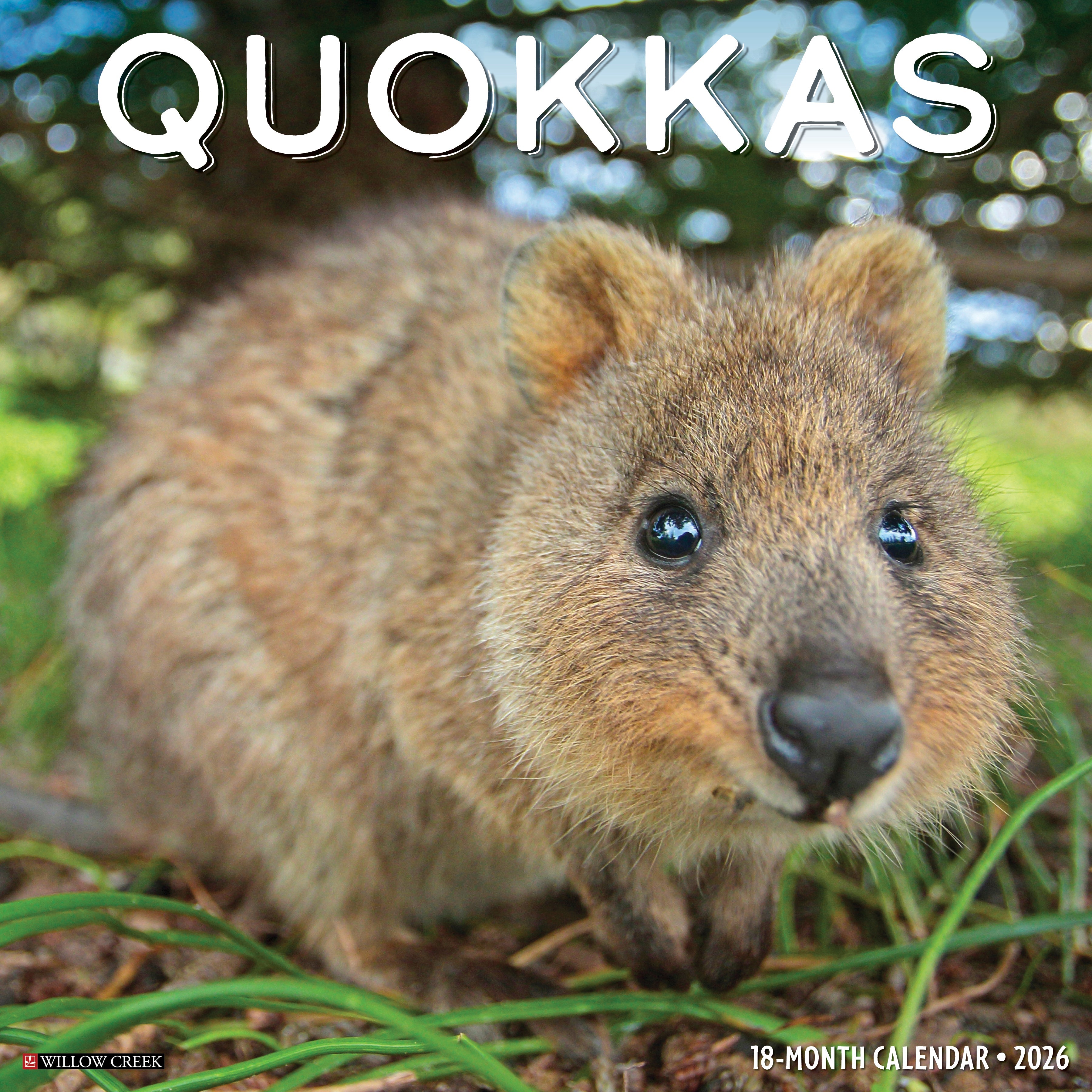 2026 Quokkas - Square Wall Calendar