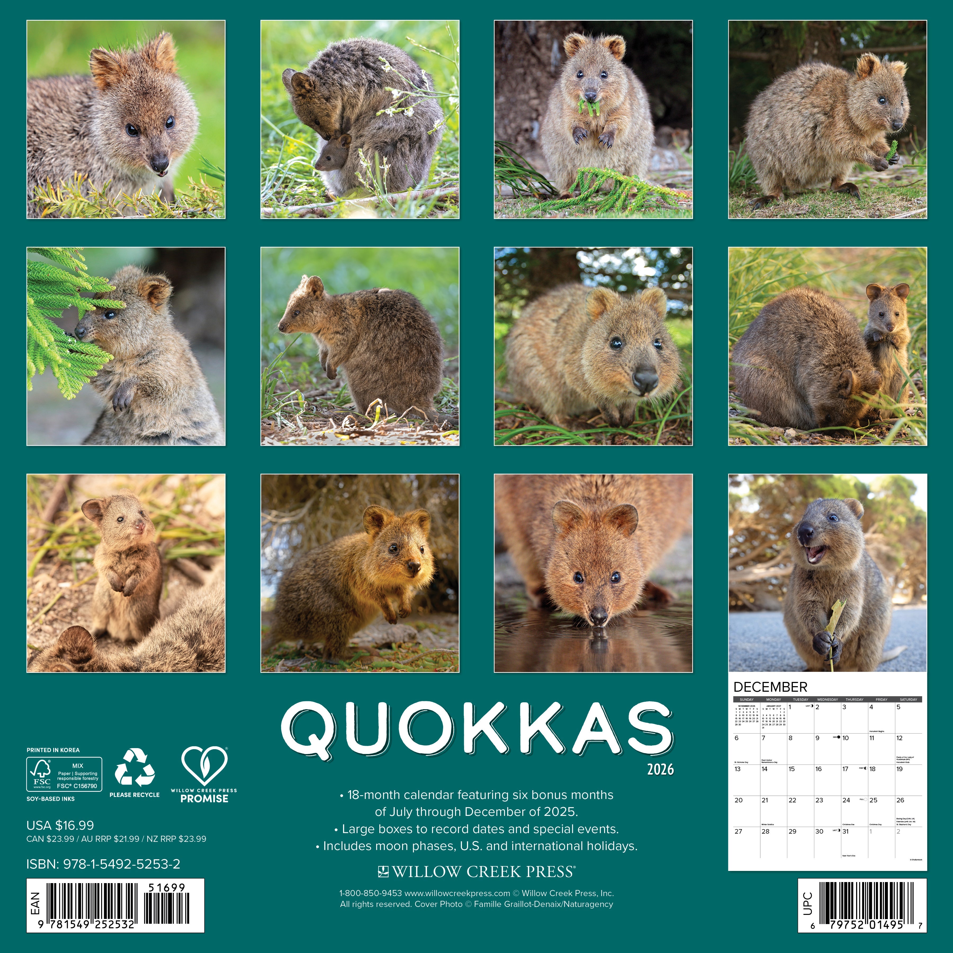 2026 Quokkas - Square Wall Calendar