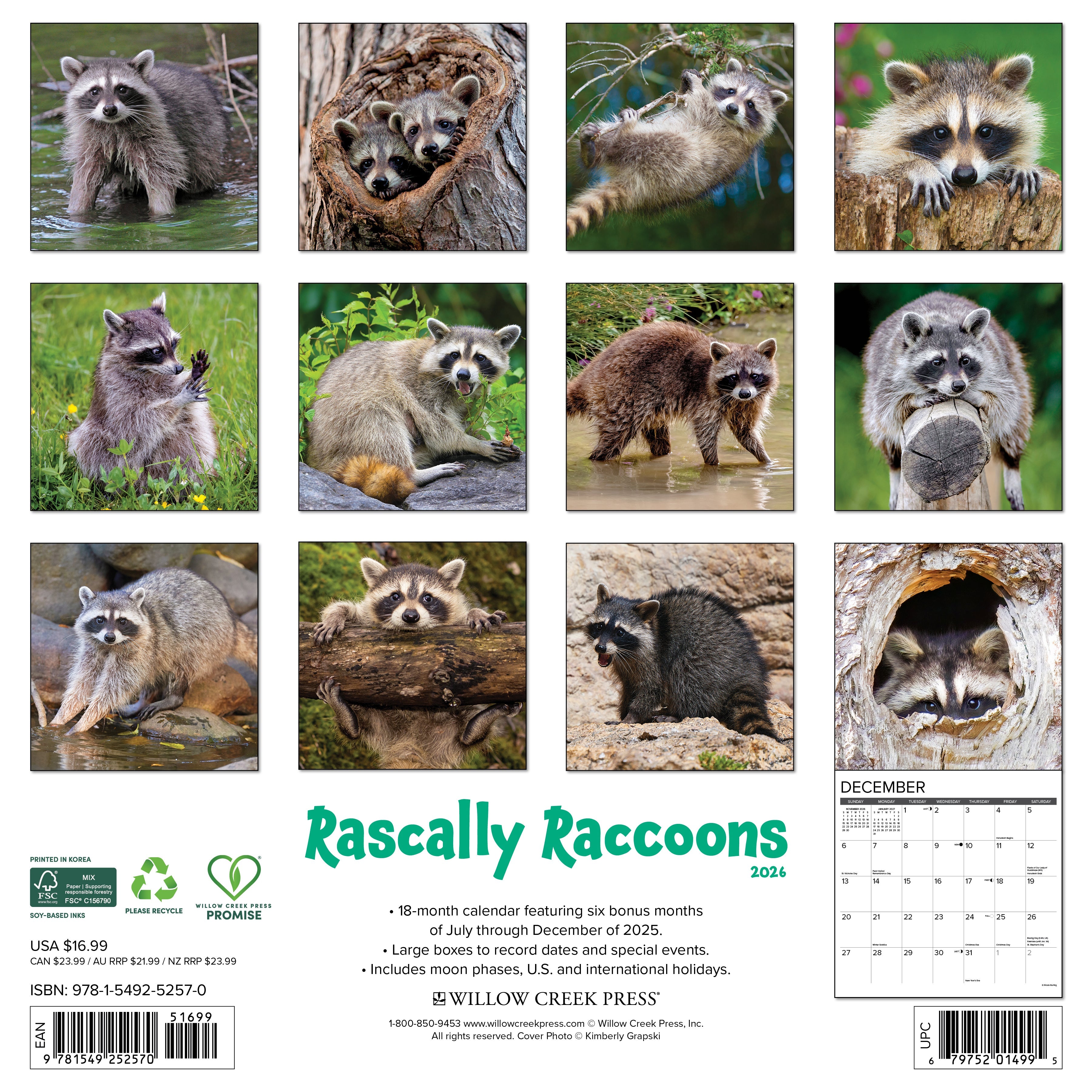 2026 Rascally Raccoons - Square Wall Calendar