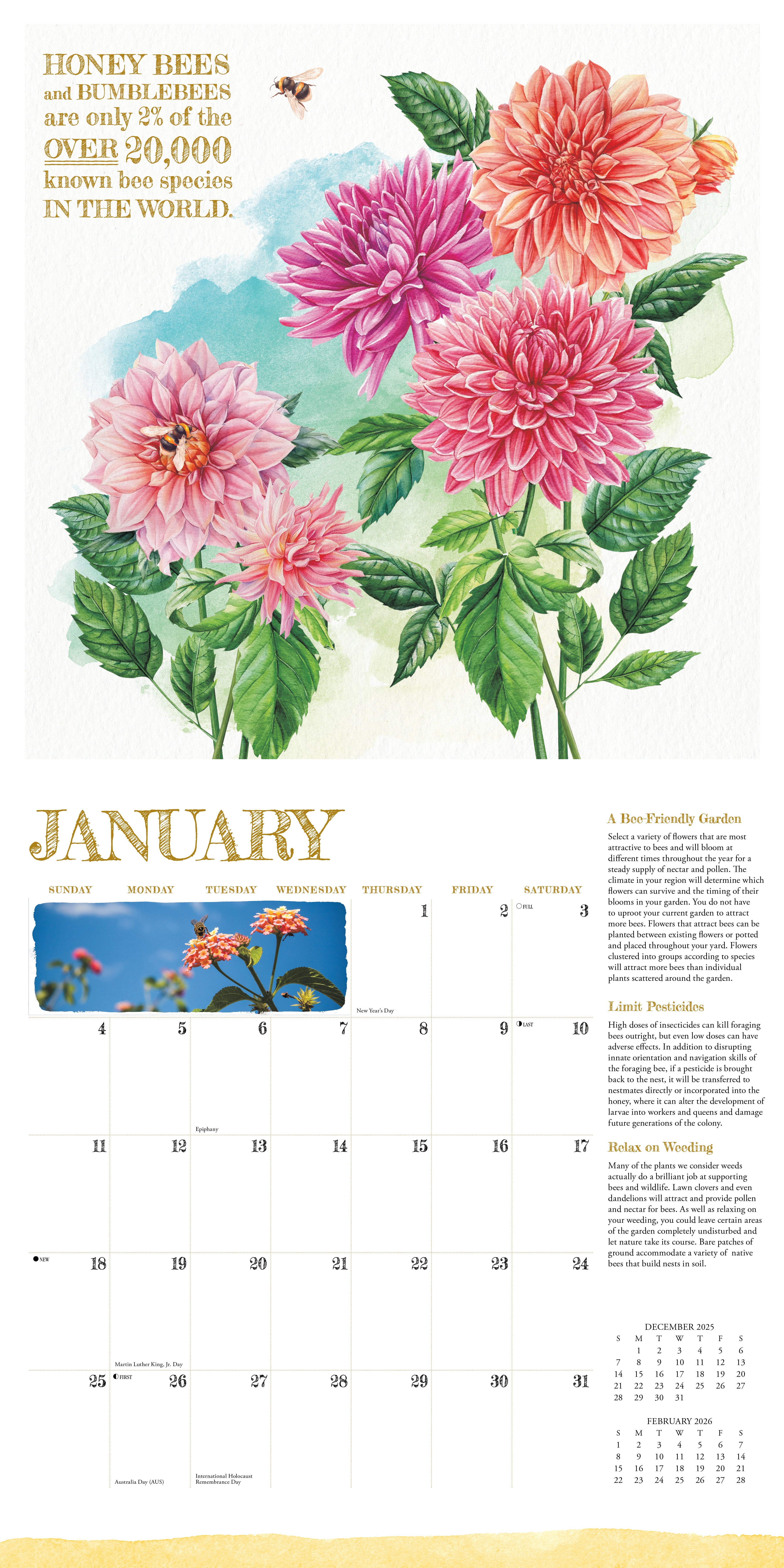 2026 Reasons to Bee - Square Wall Calendar