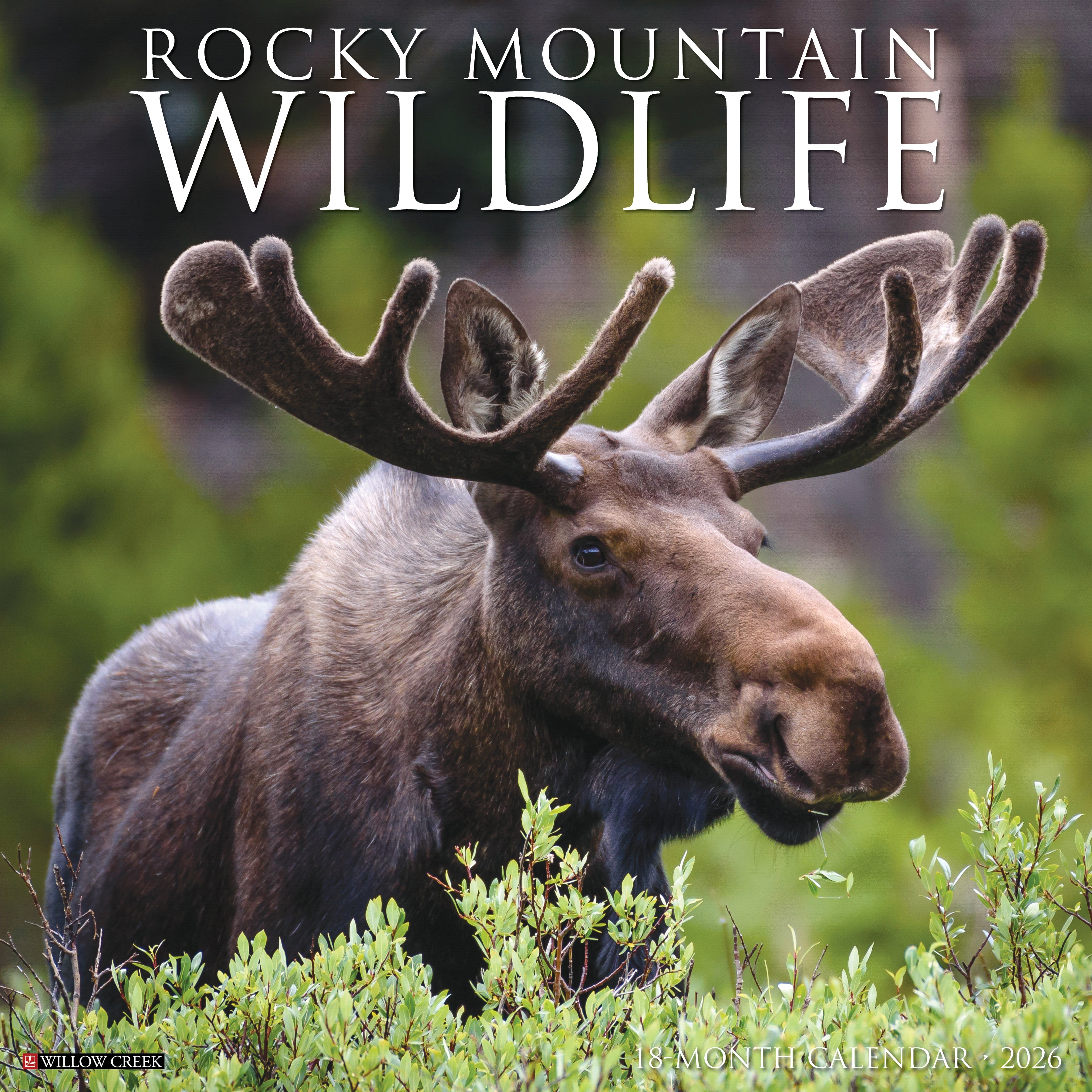 2026 Rocky Mountain Wildlife - Square Wall Calendar