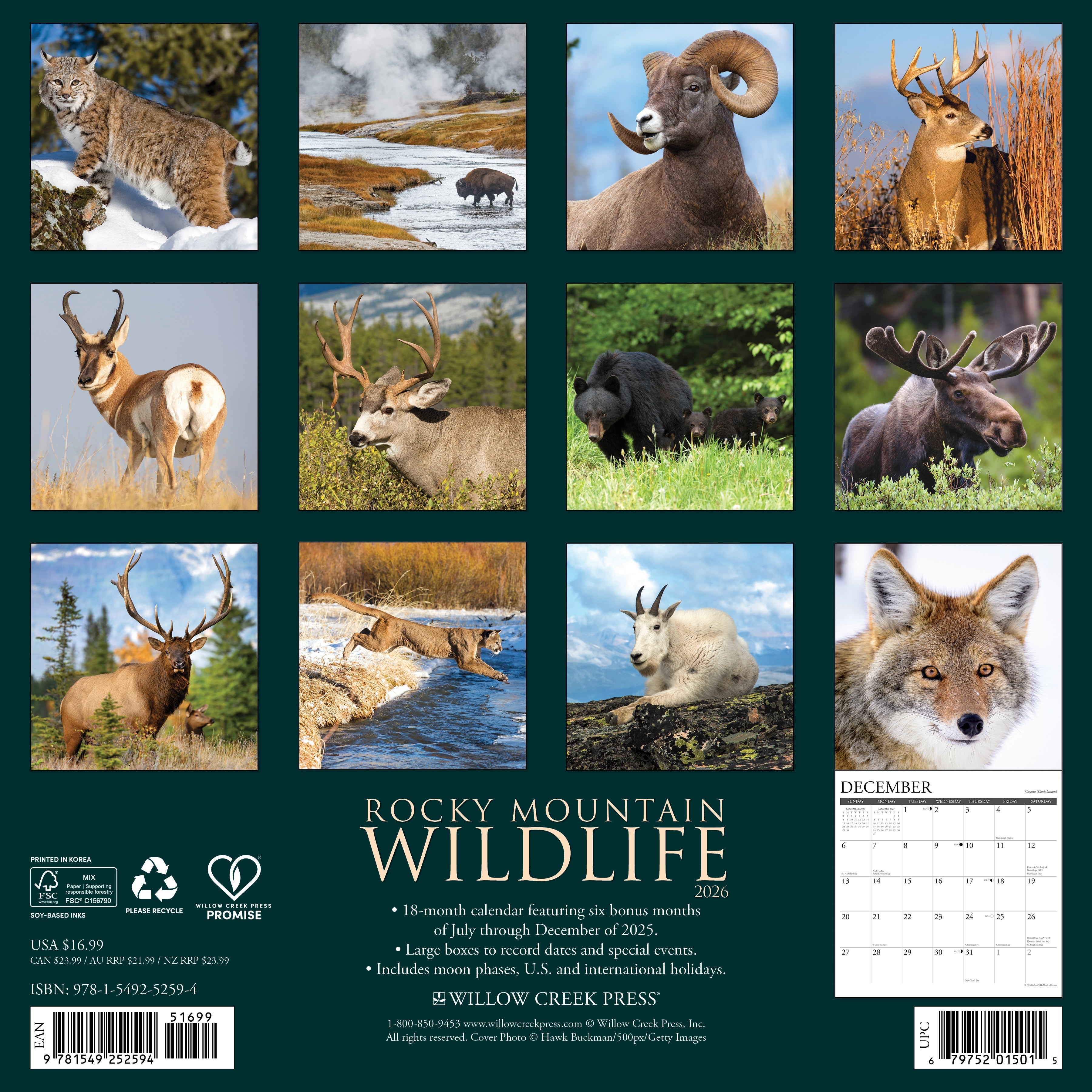 2026 Rocky Mountain Wildlife - Square Wall Calendar
