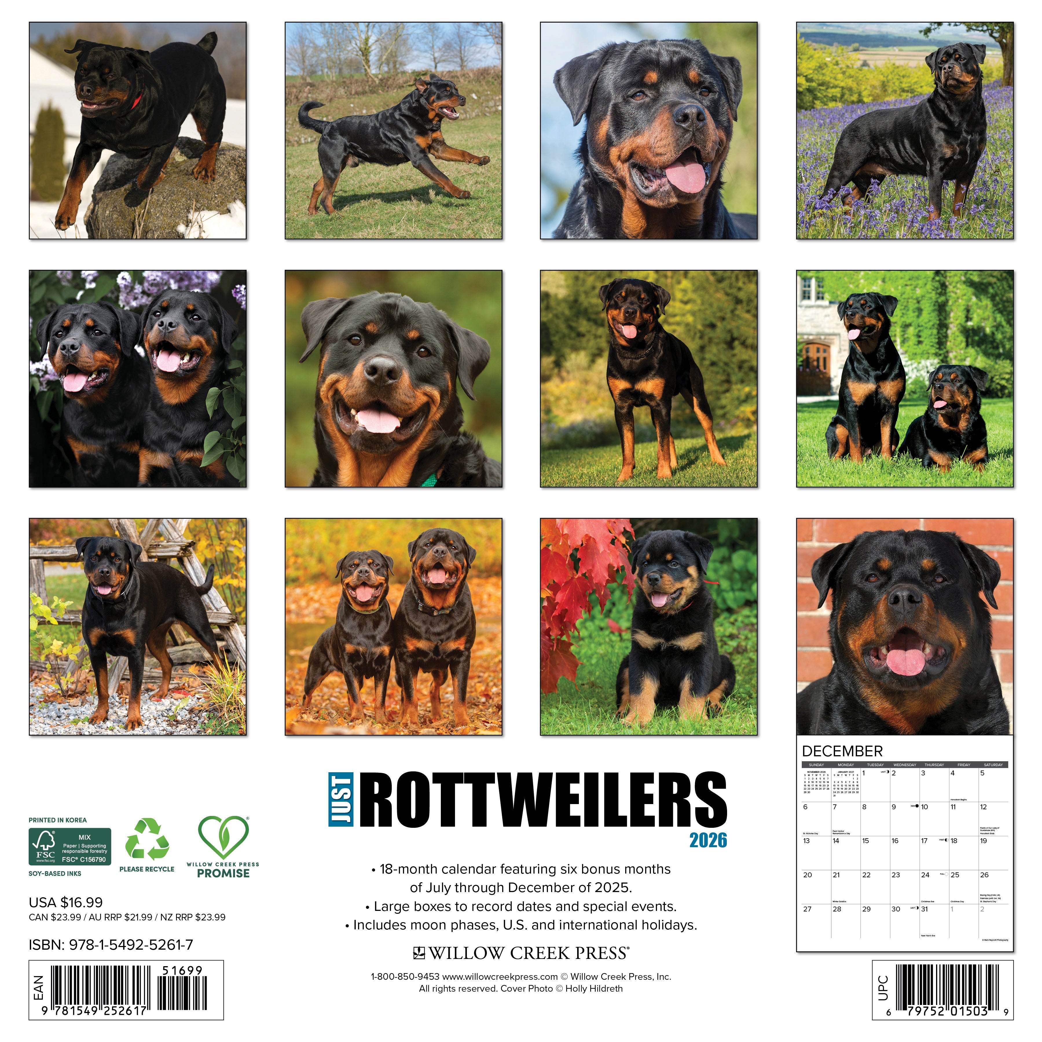 2026 Rottweilers - Square Wall Calendar