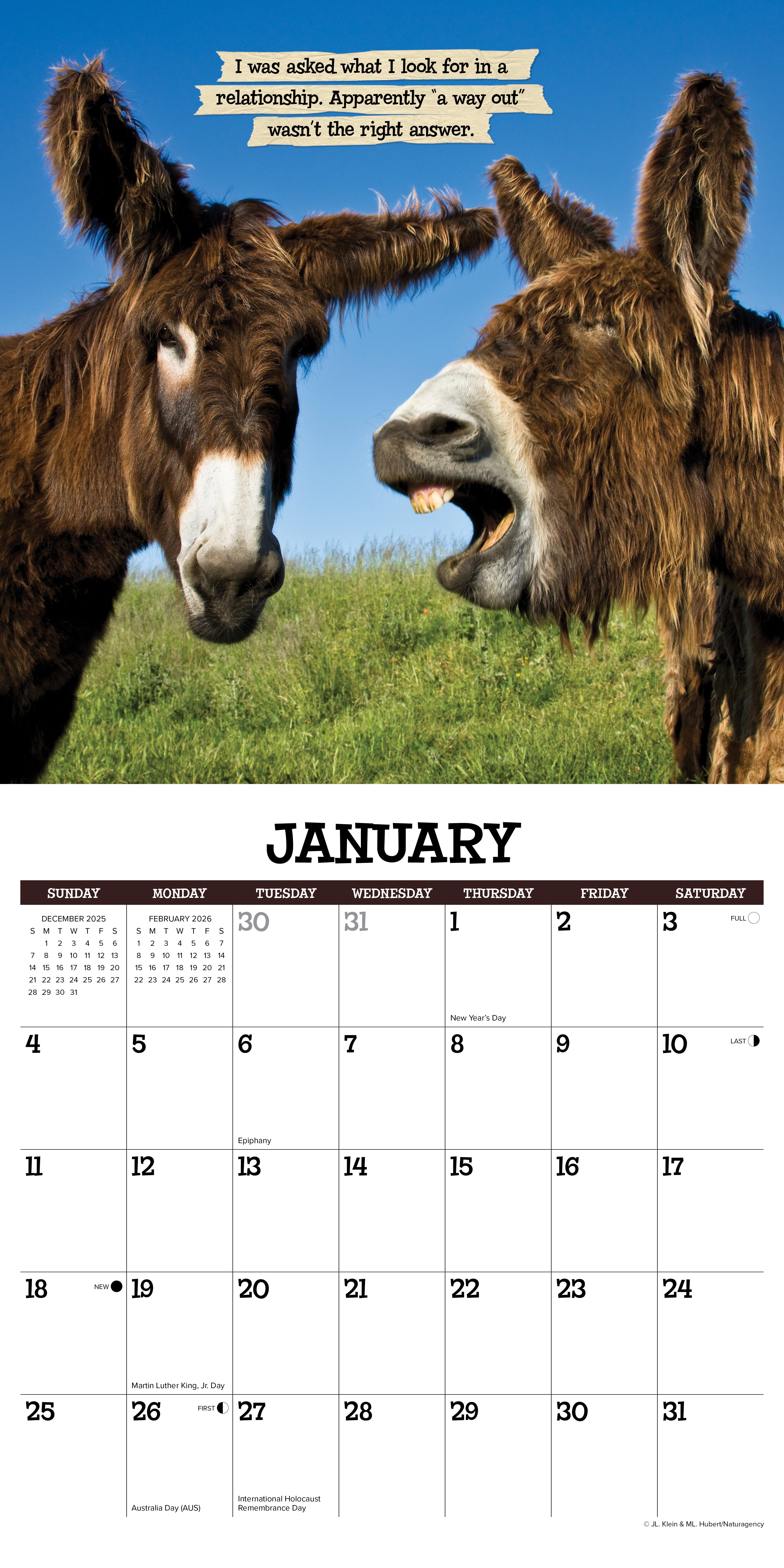 2026 Sassy Jackassy - Square Wall Calendar