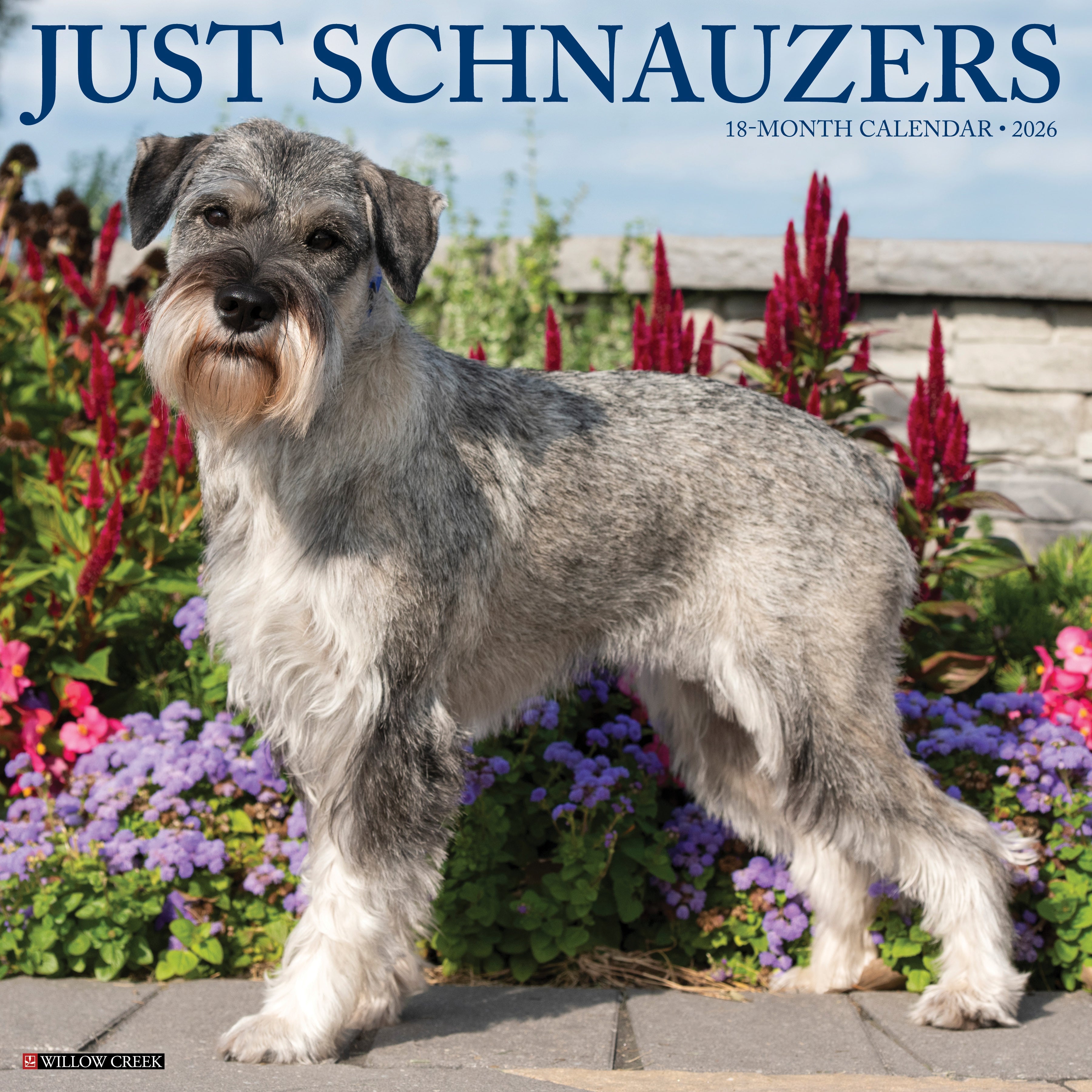 2026 Schnauzers - Square Wall Calendar