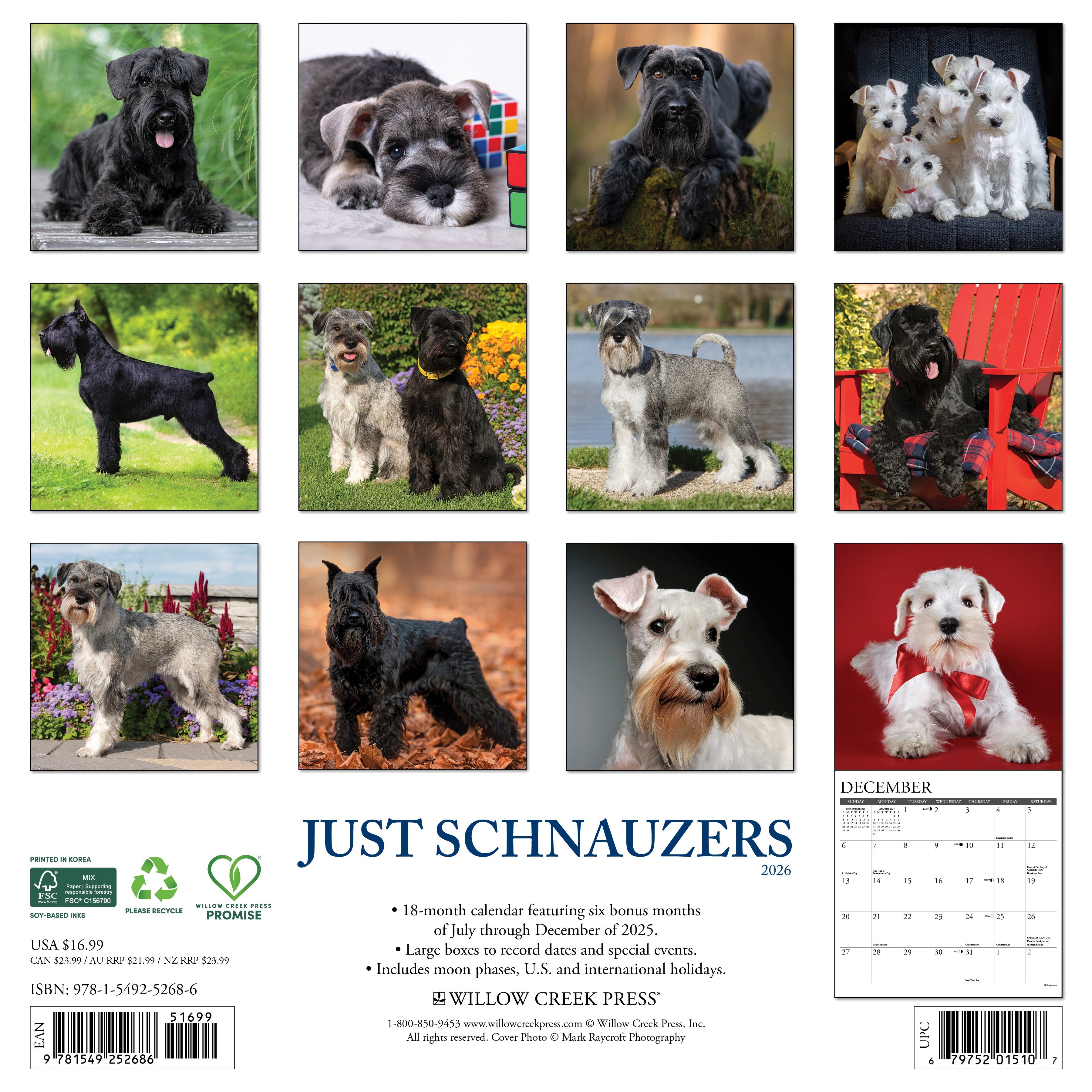 2026 Schnauzers - Square Wall Calendar