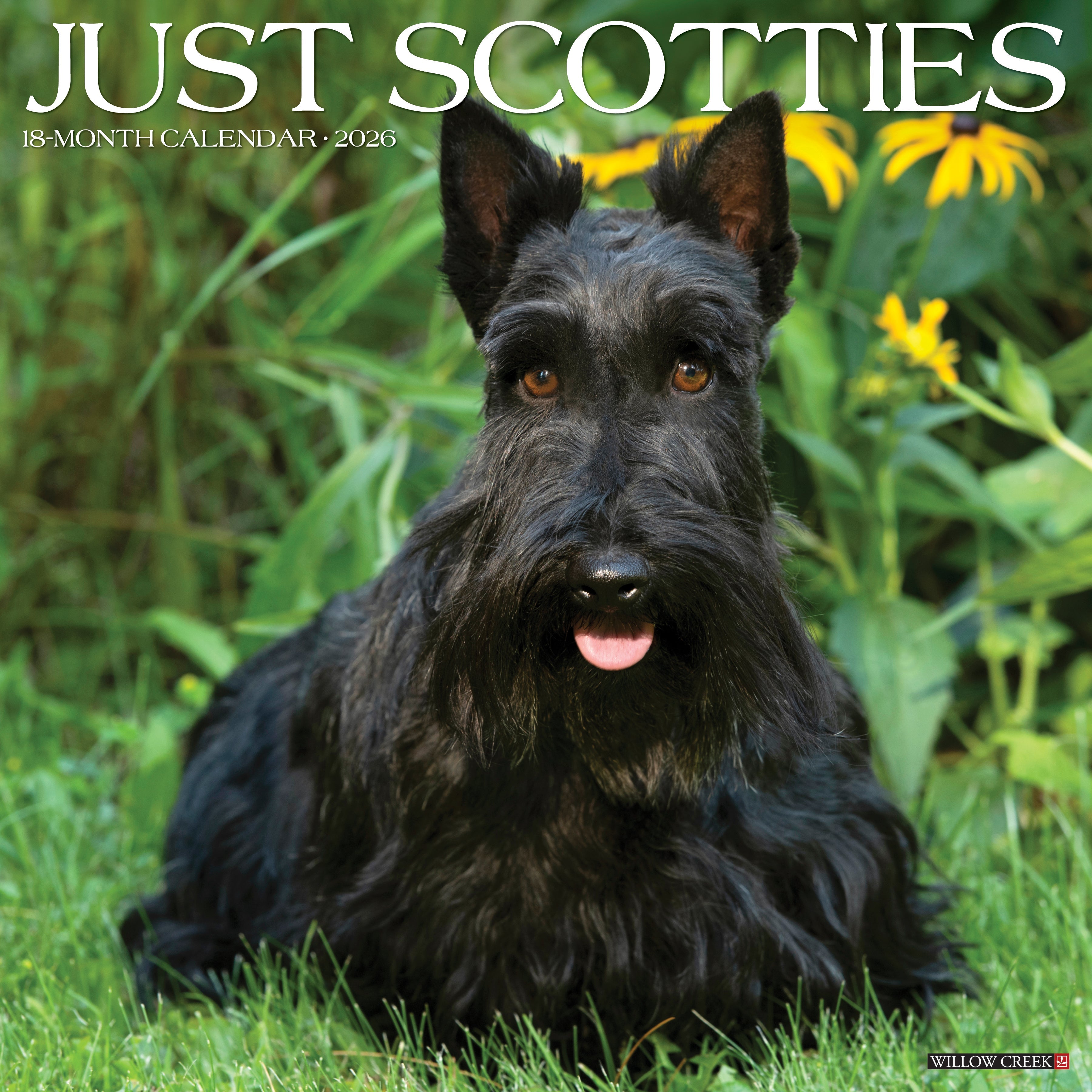 2026 Scotties - Square Wall Calendar