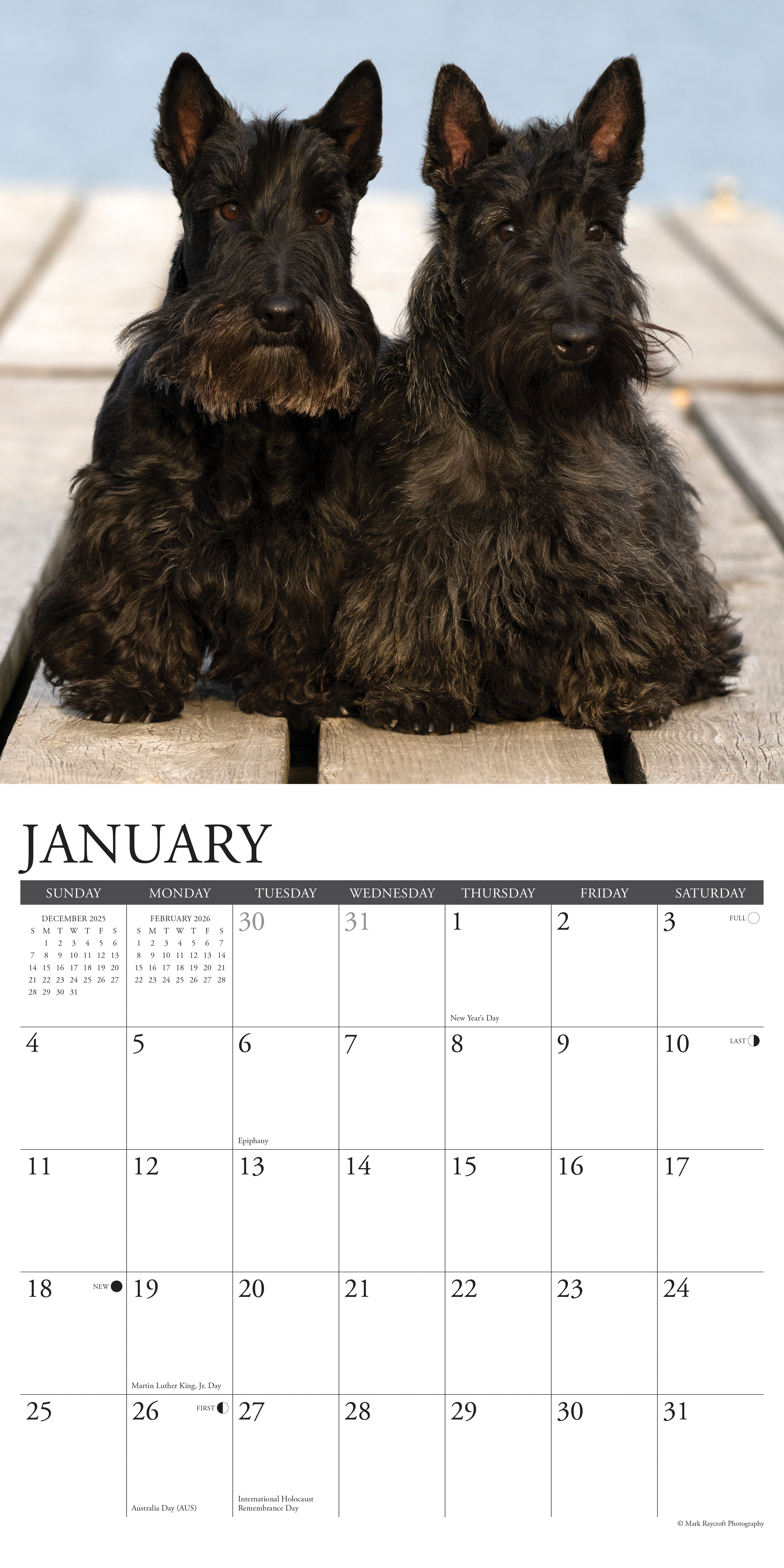 2026 Scotties - Square Wall Calendar
