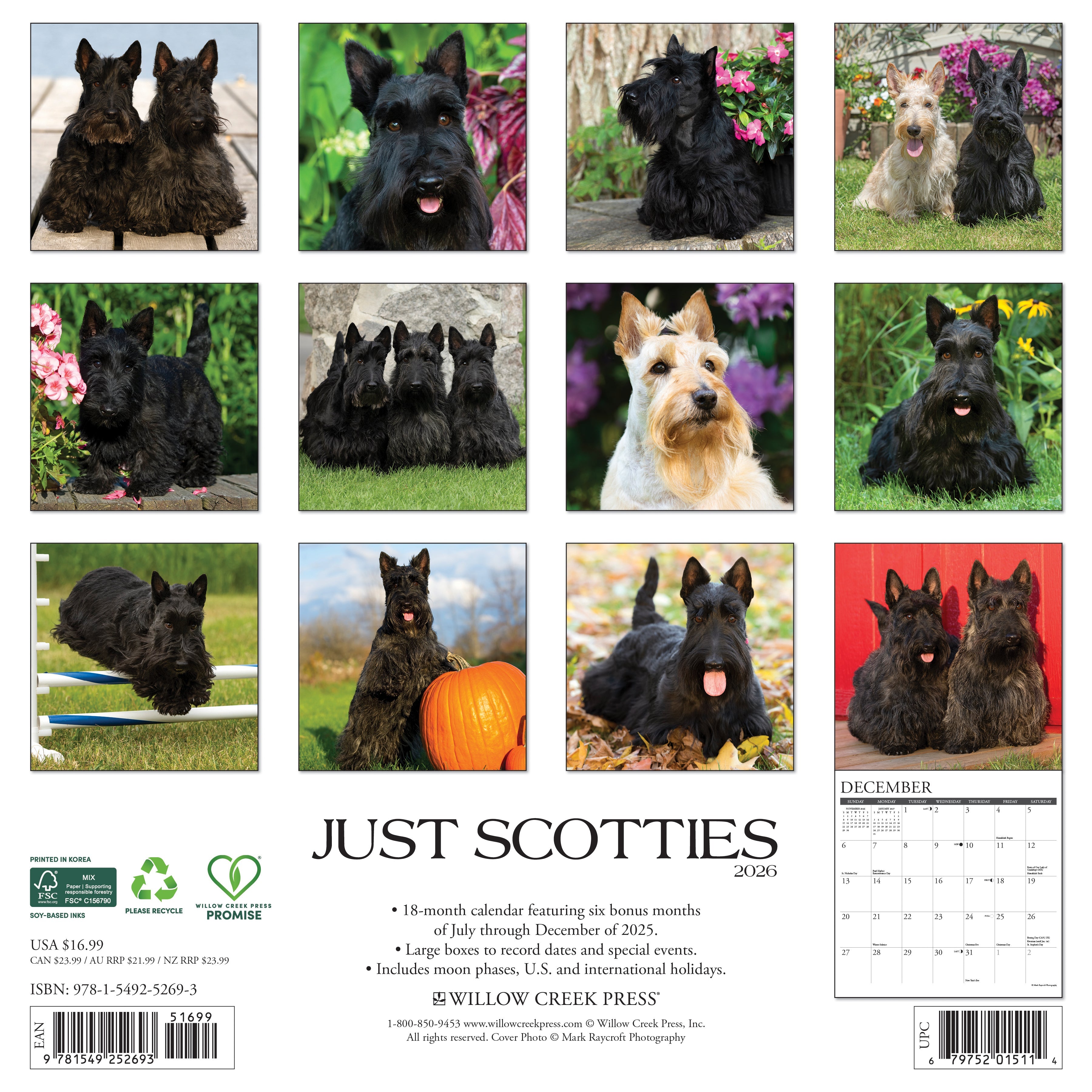 2026 Scotties - Square Wall Calendar