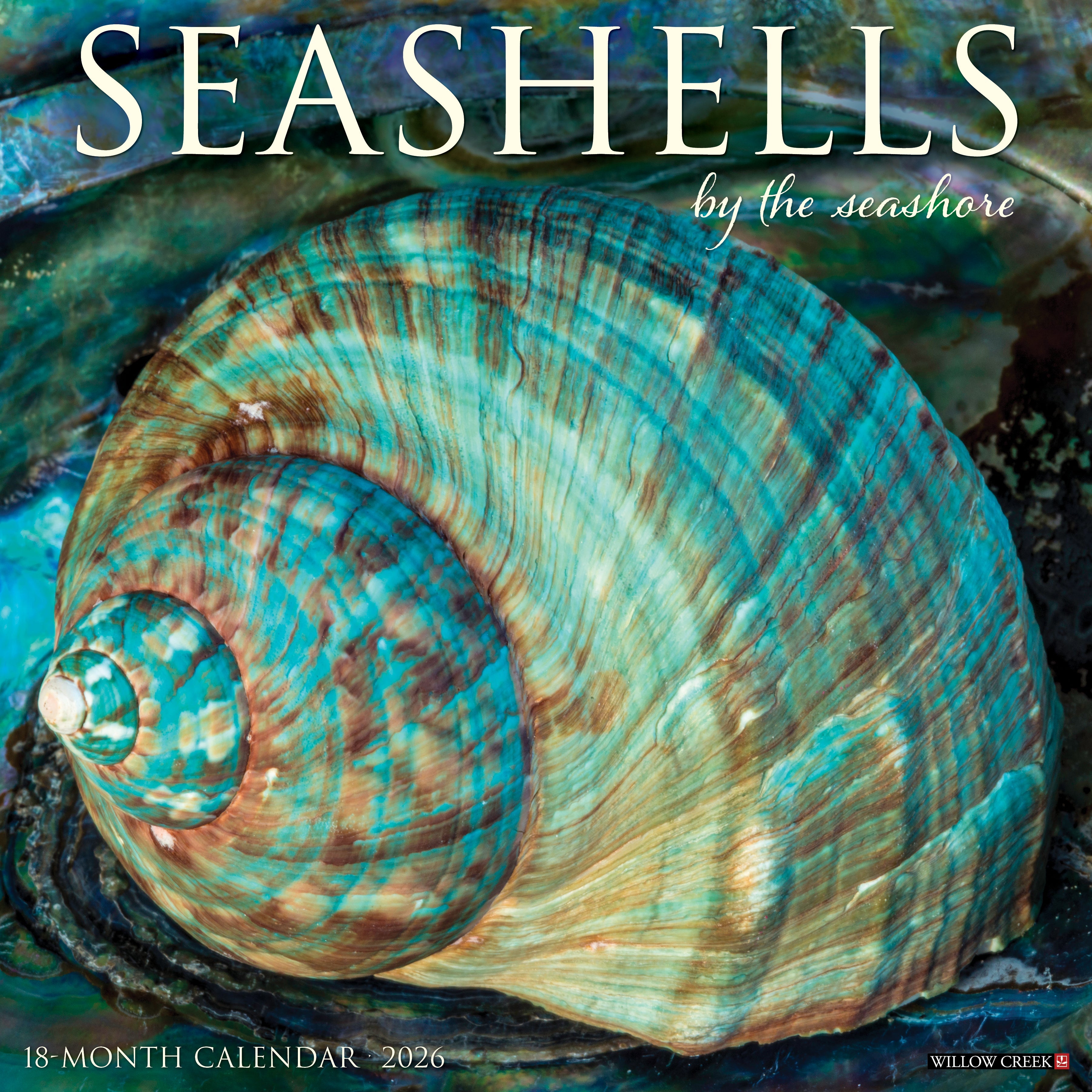 2026 Seashells - Square Wall Calendar
