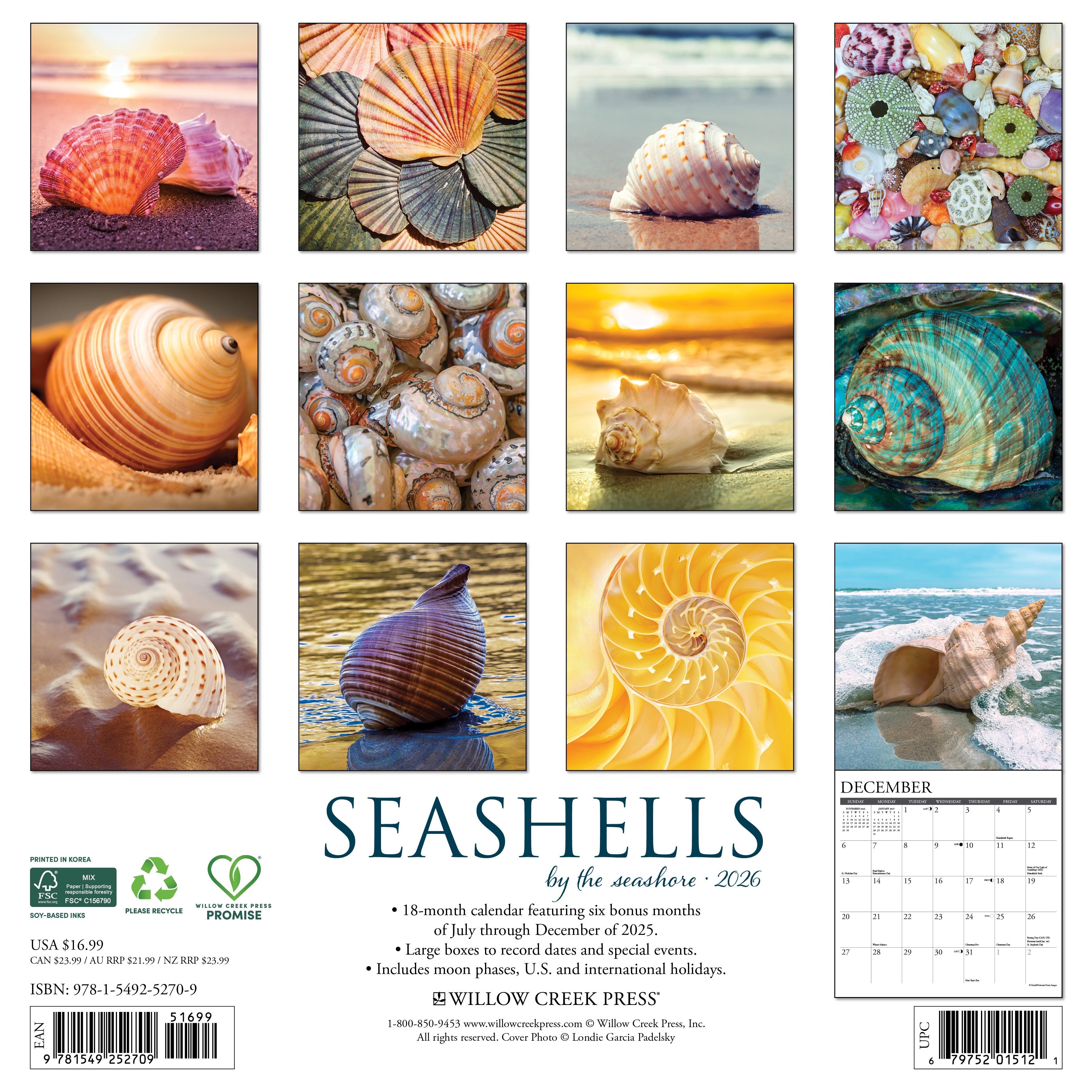 2026 Seashells - Square Wall Calendar