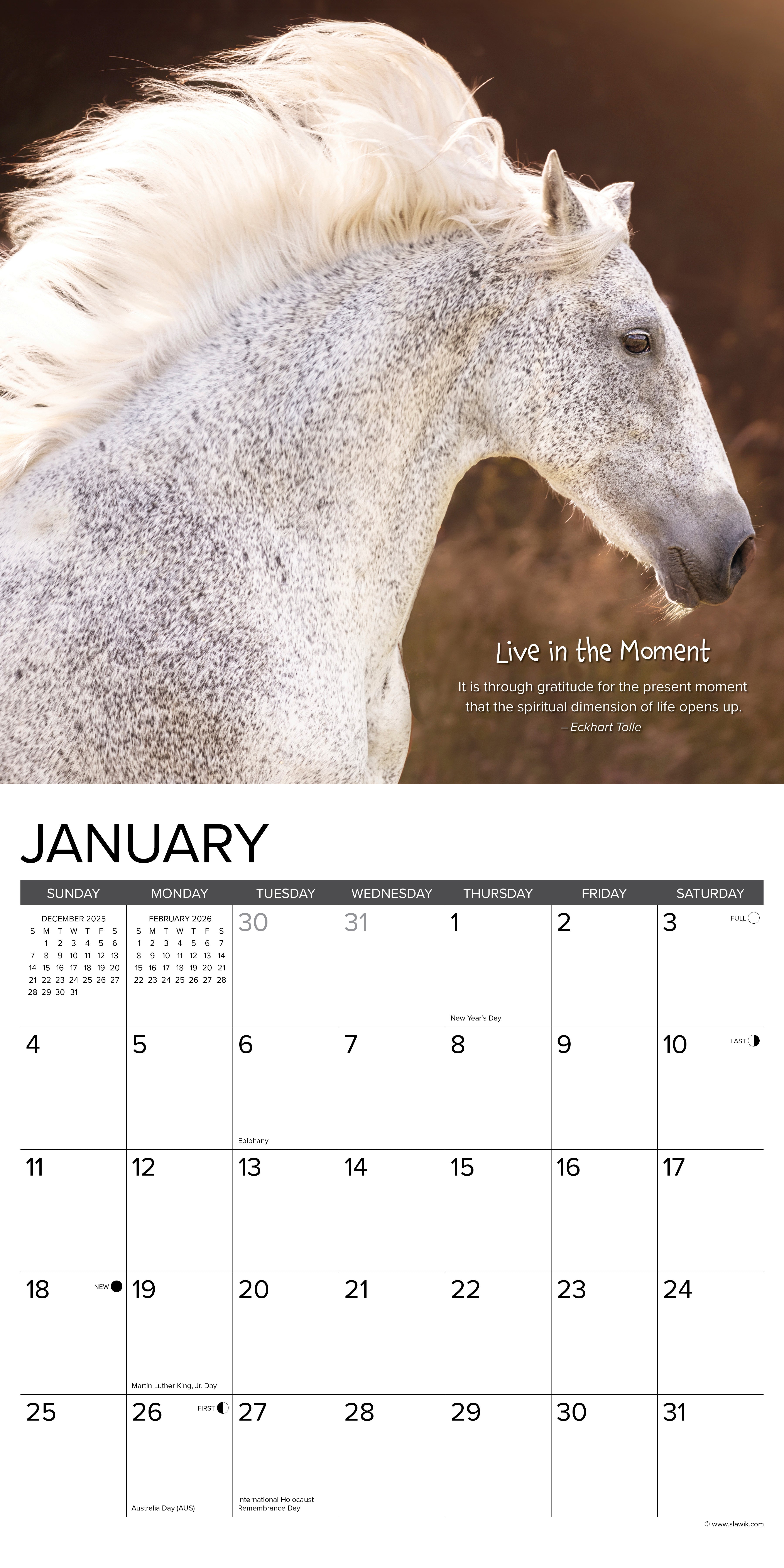 2026 Seize the Hay - Square Wall Calendar