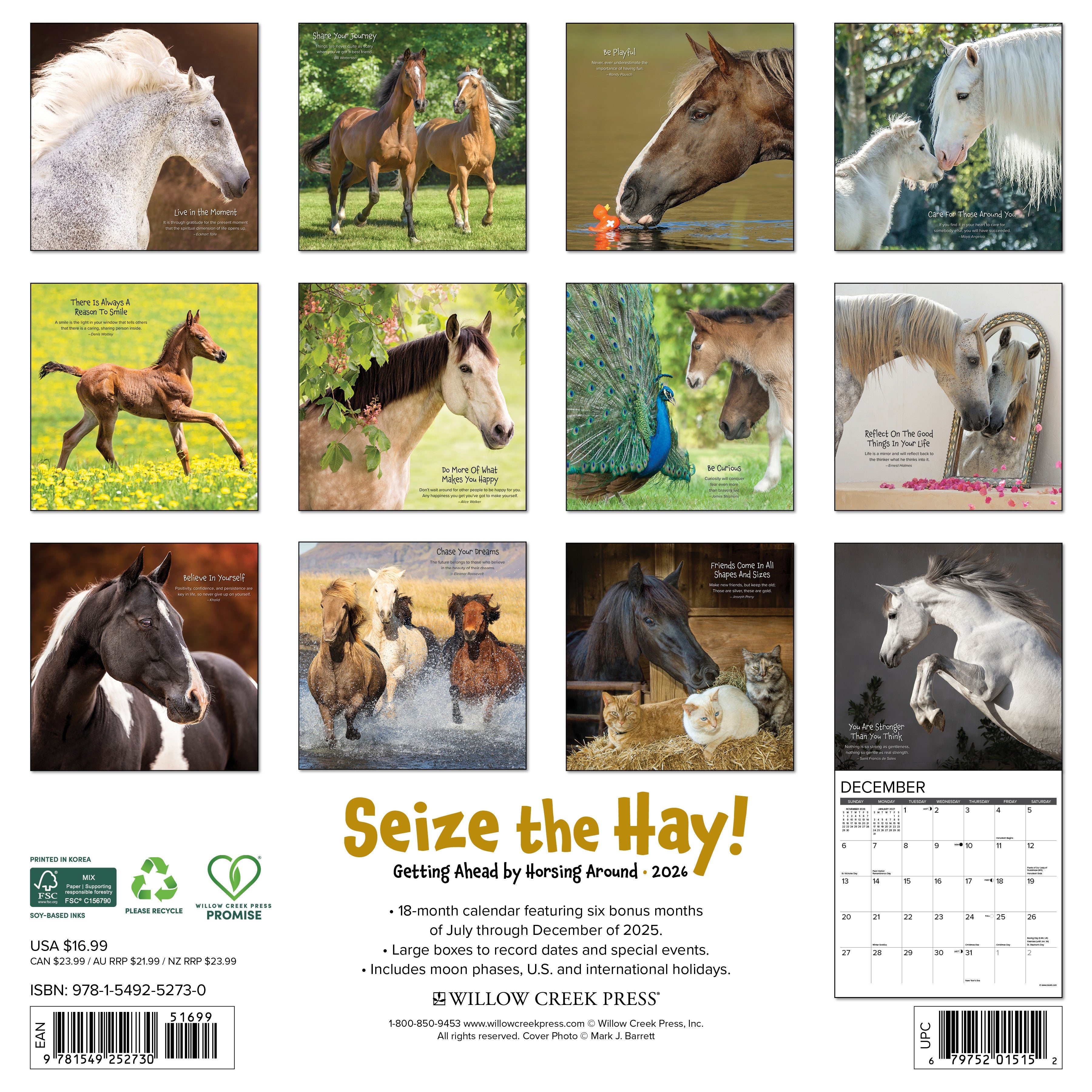 2026 Seize the Hay - Square Wall Calendar