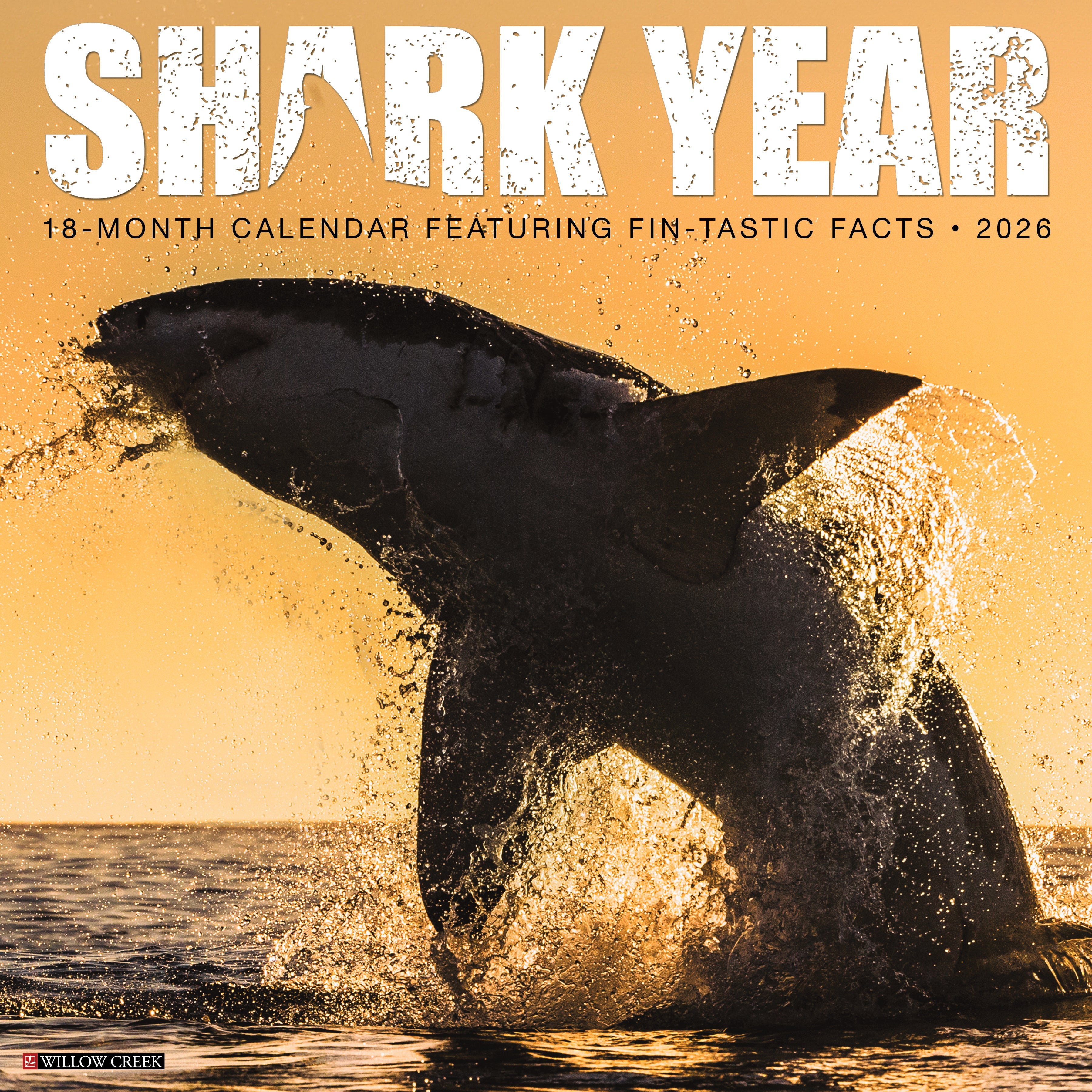 2026 Shark Year - Square Wall Calendar
