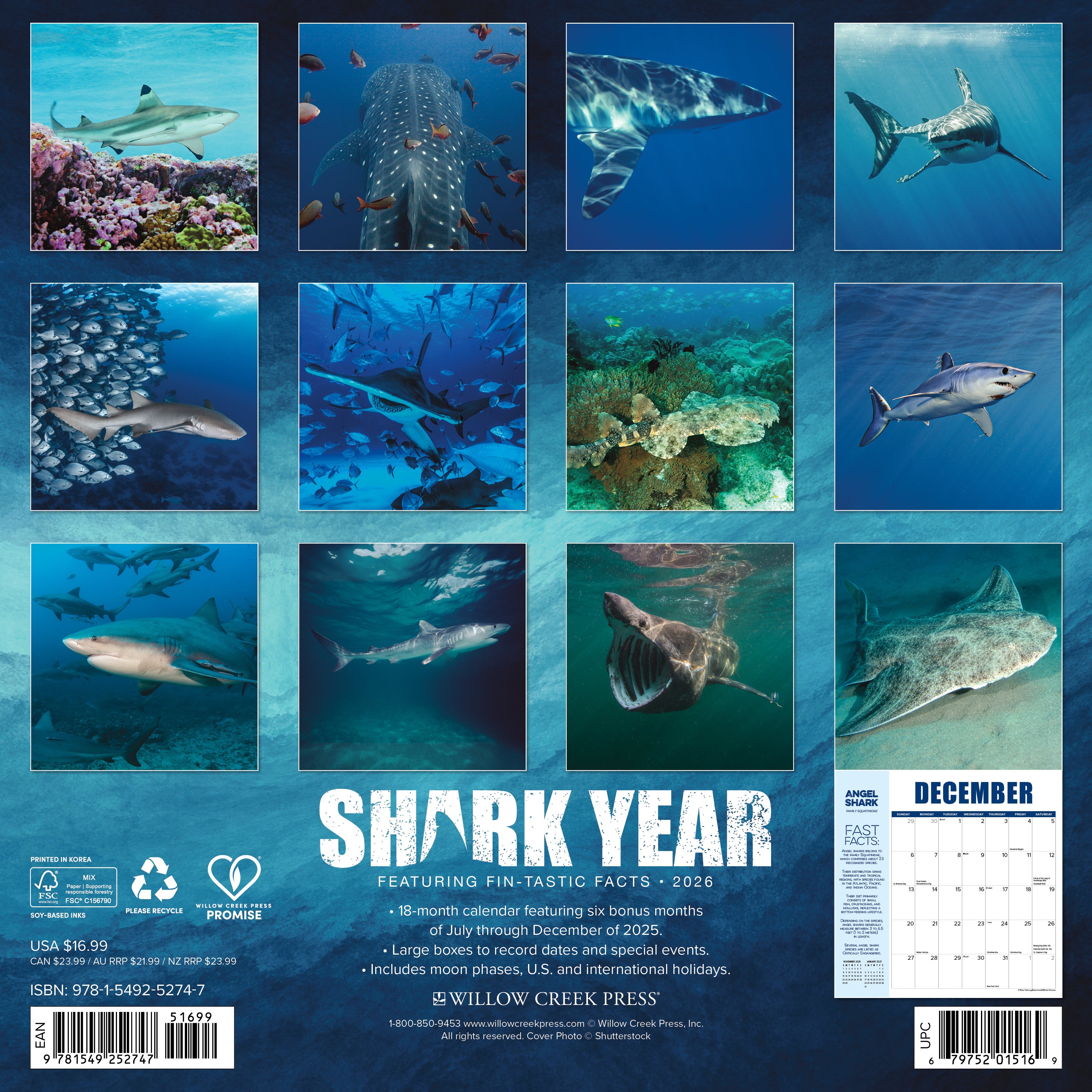 2026 Shark Year - Square Wall Calendar