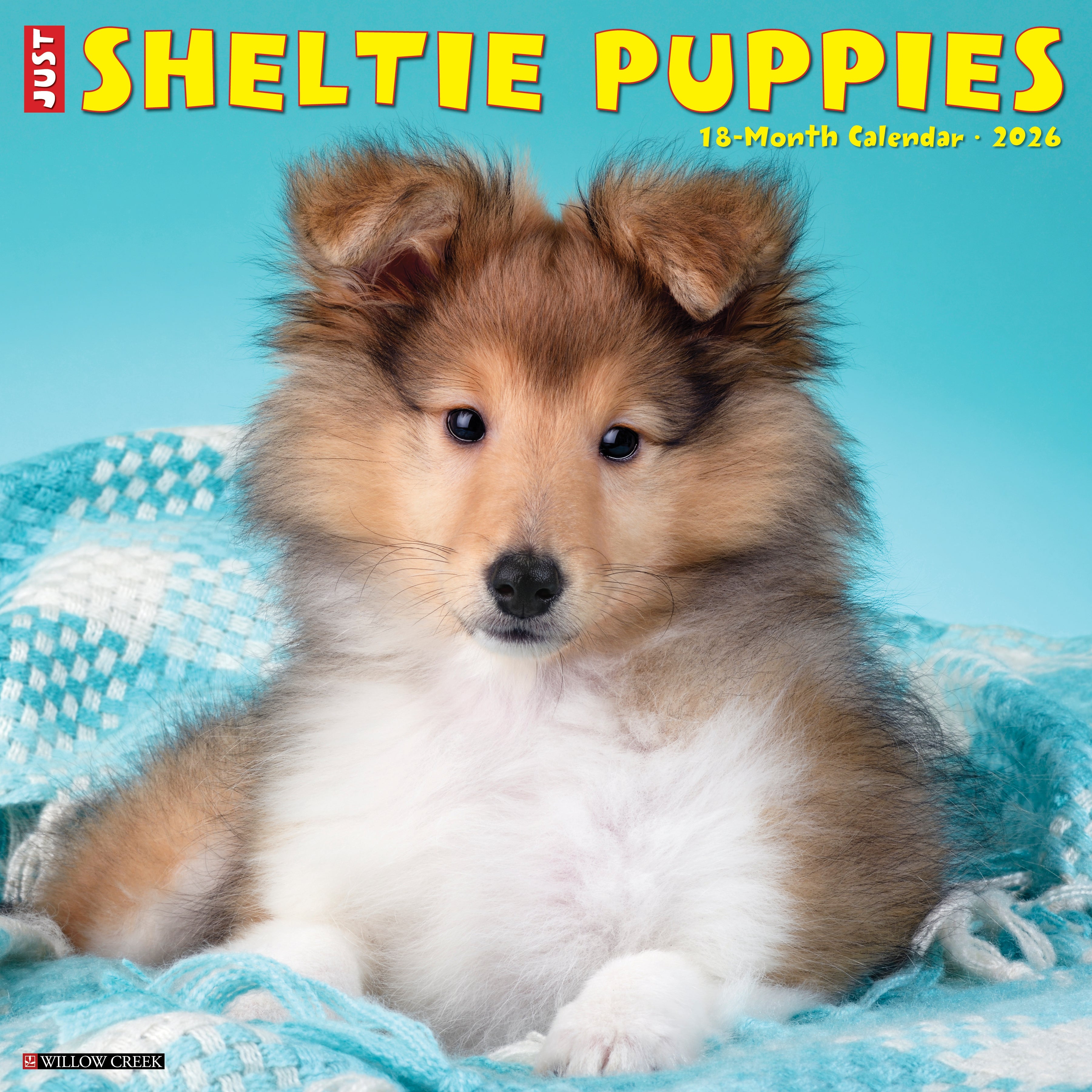 2026 Sheltie Puppies - Square Wall Calendar