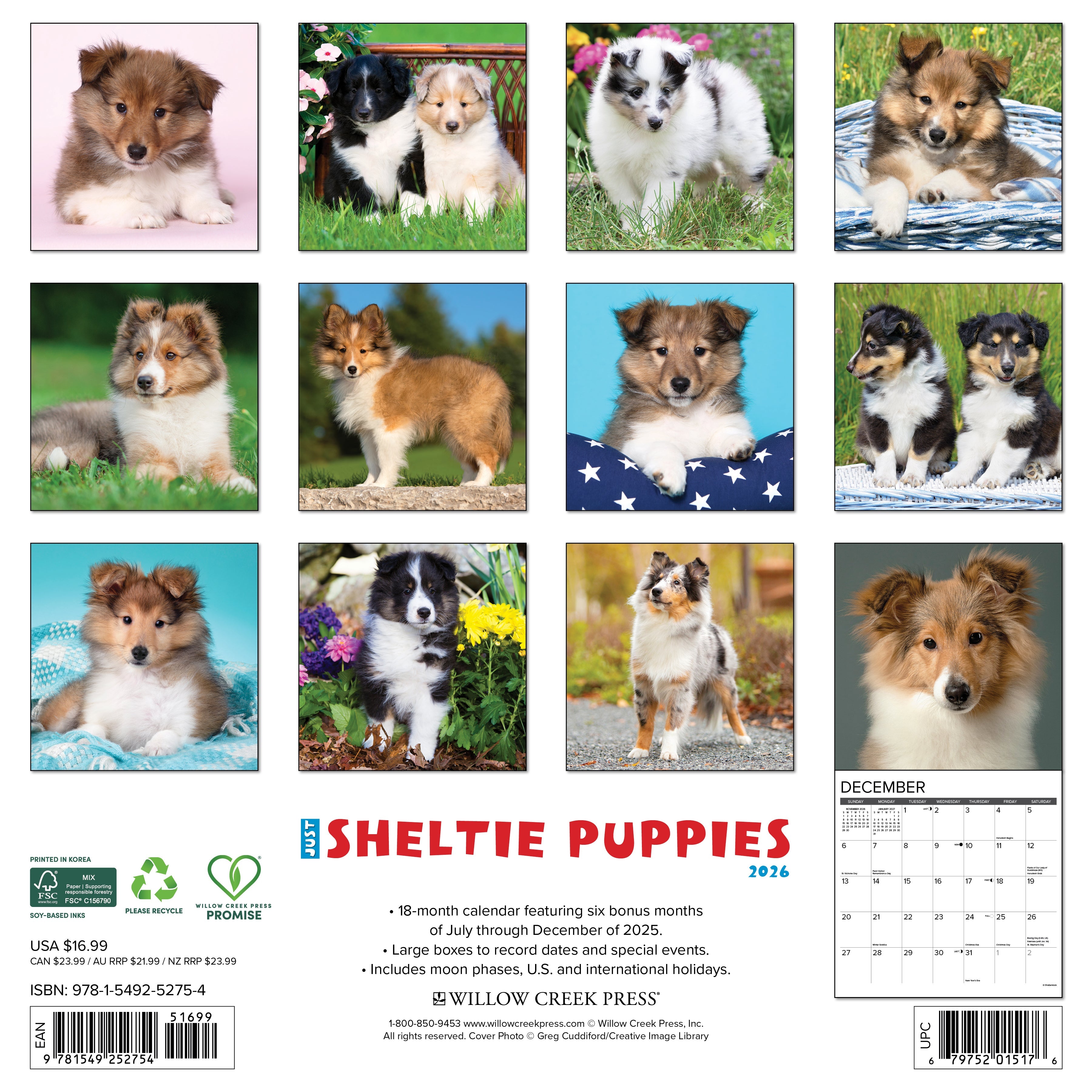 2026 Sheltie Puppies - Square Wall Calendar