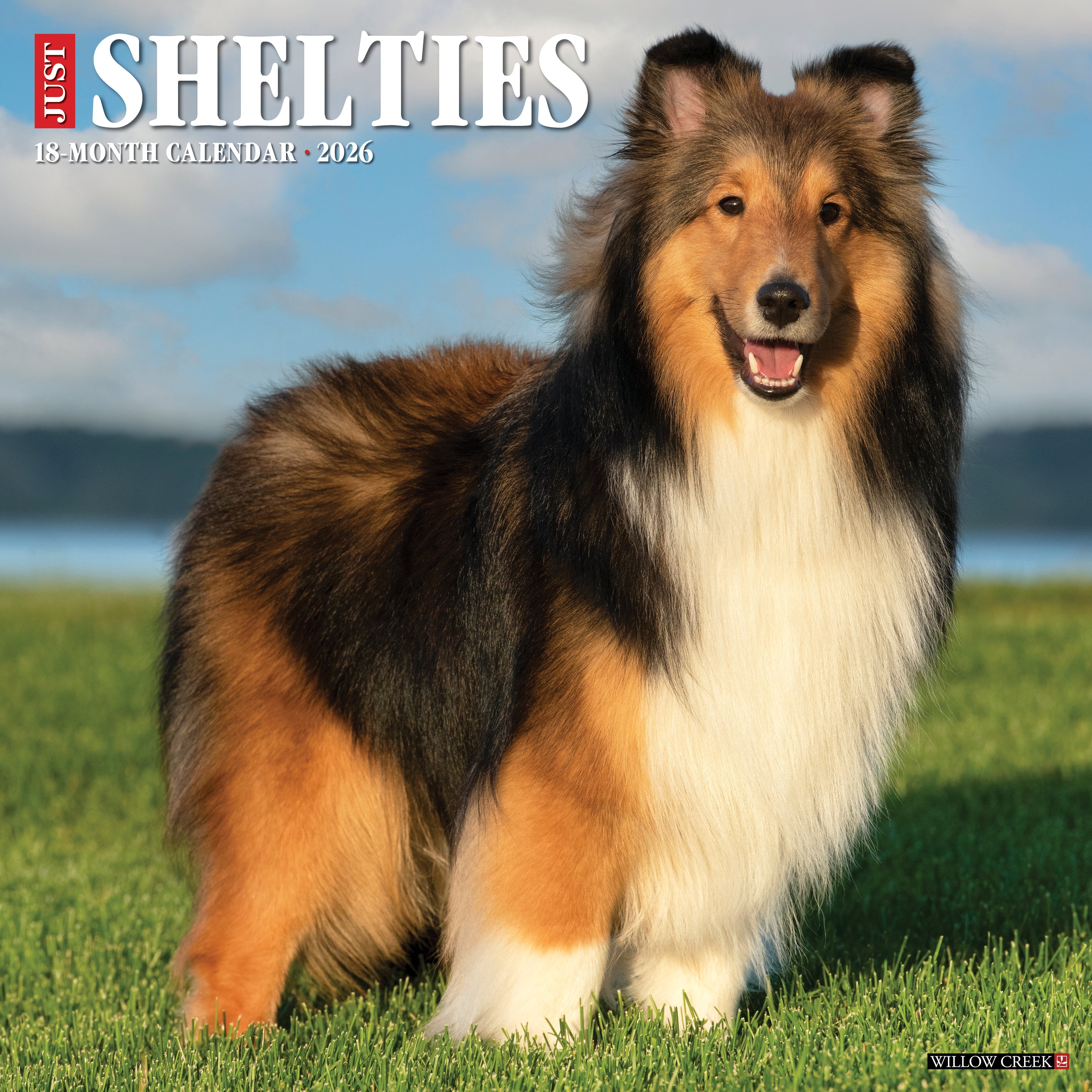 2026 Shelties - Square Wall Calendar