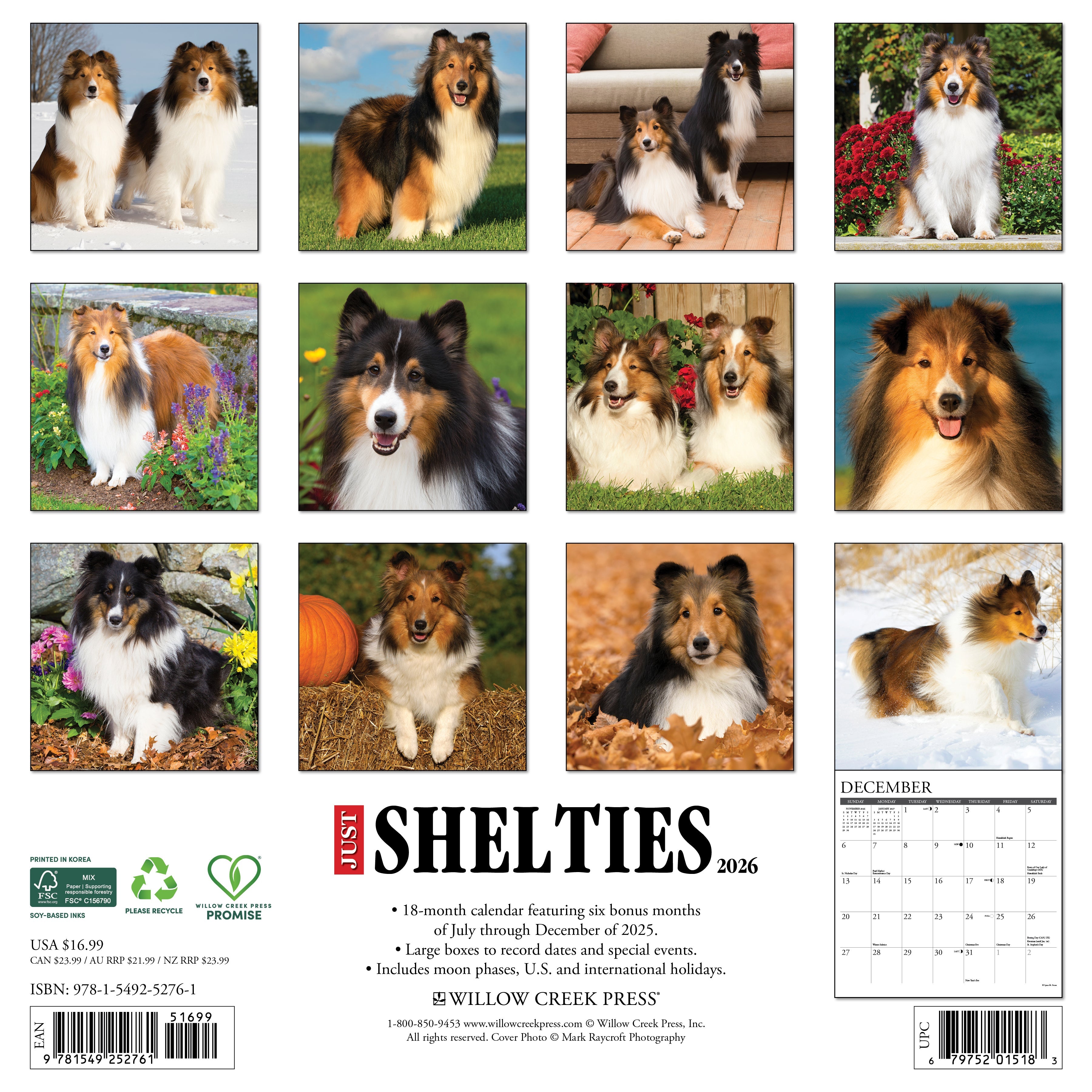2026 Shelties - Square Wall Calendar