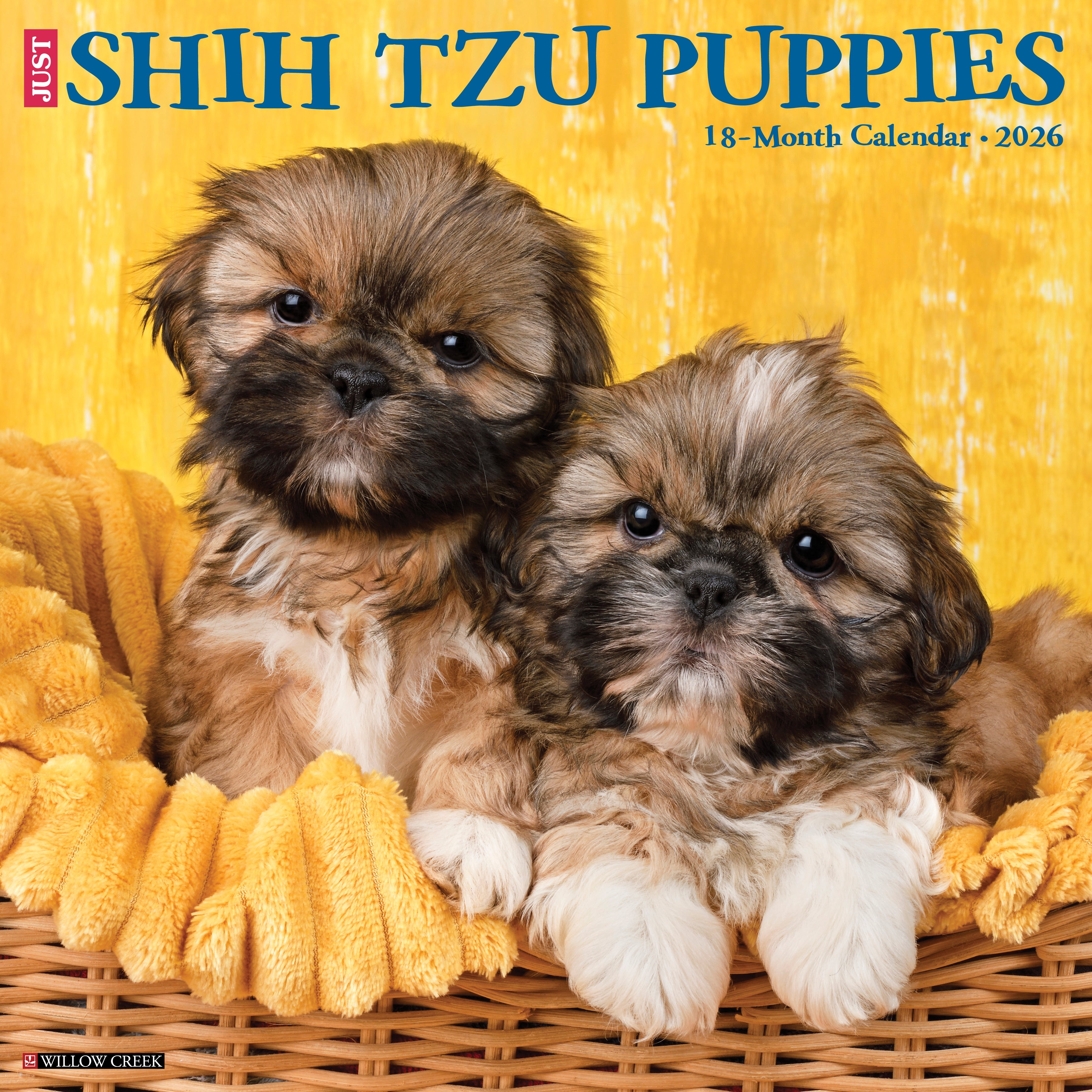 2026 Shih Tzu Puppies - Square Wall Calendar