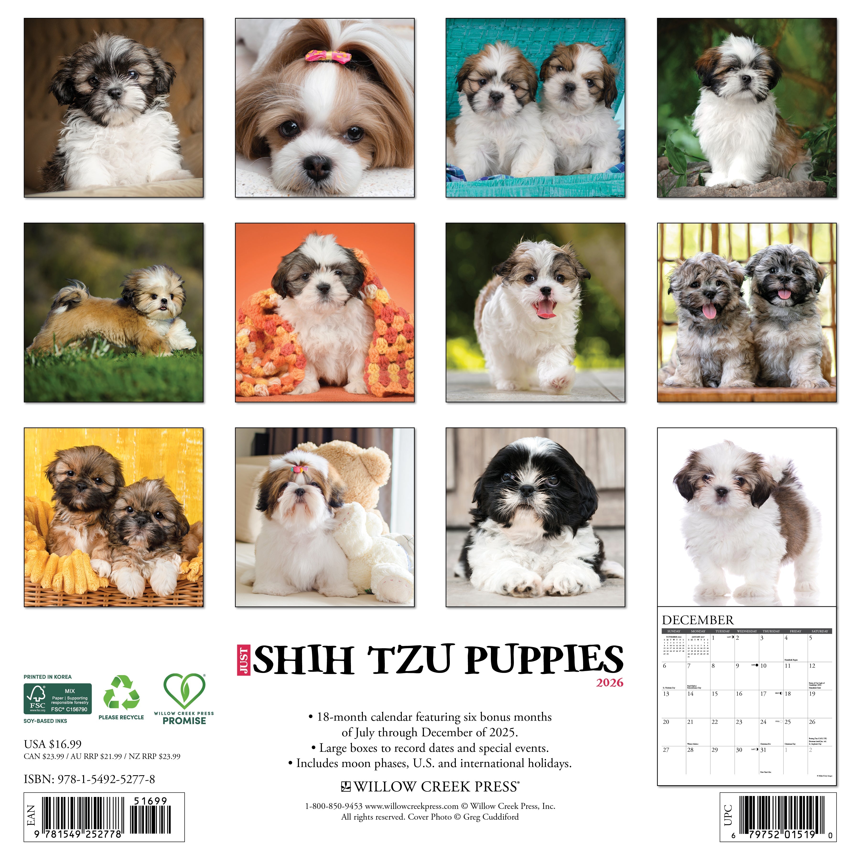 2026 Shih Tzu Puppies - Square Wall Calendar